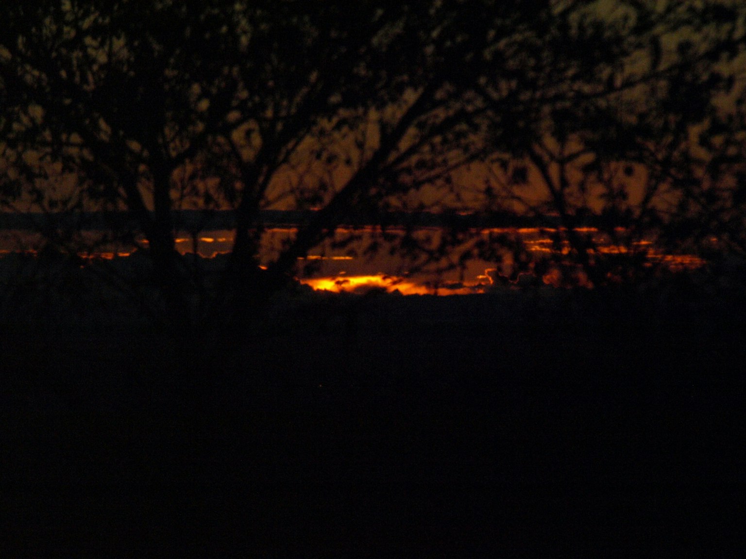 Silhouette von Bäumen vor einem Sonnenuntergangshimmel