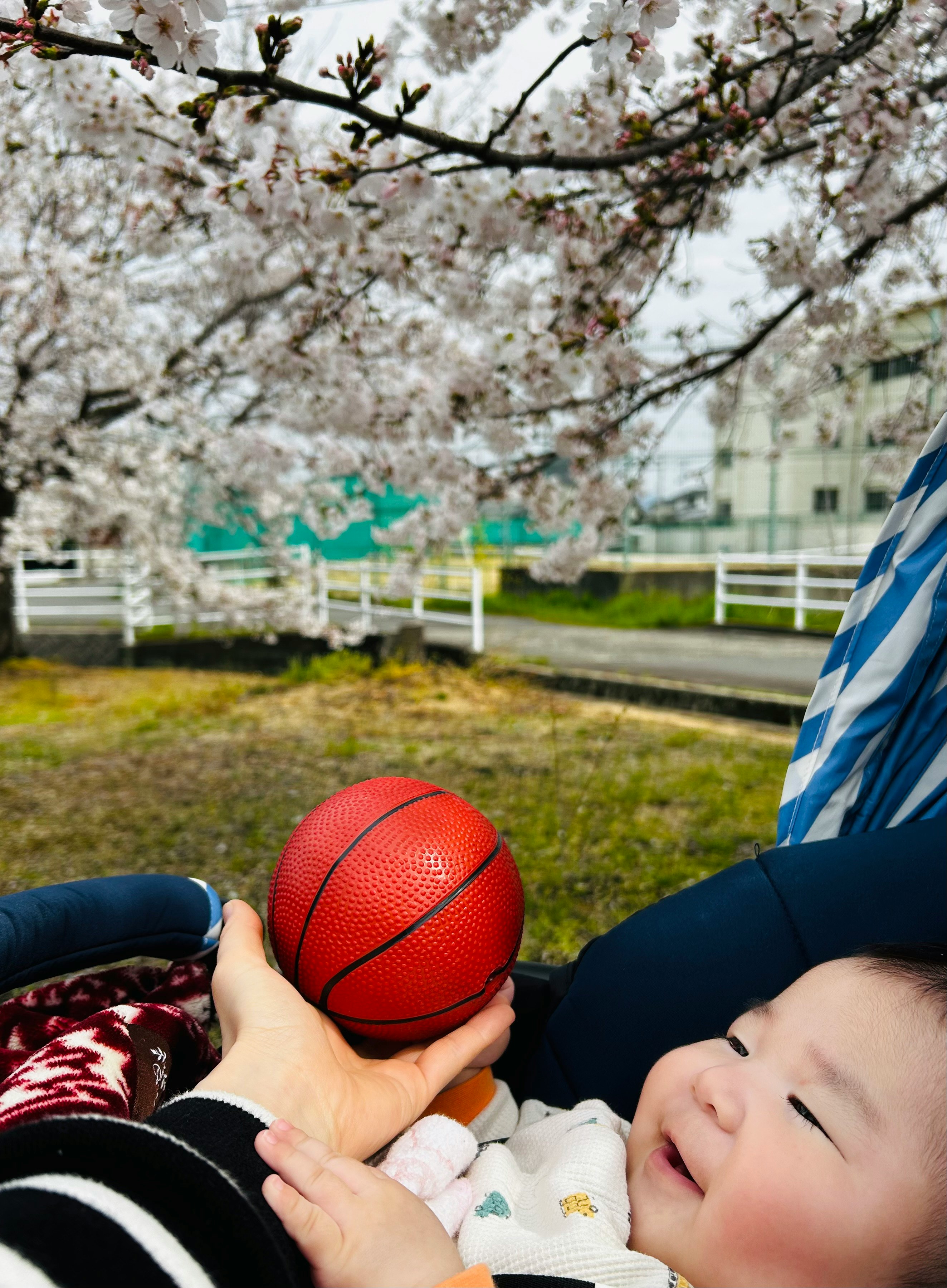 baby holding a basketball under cherry blossoms