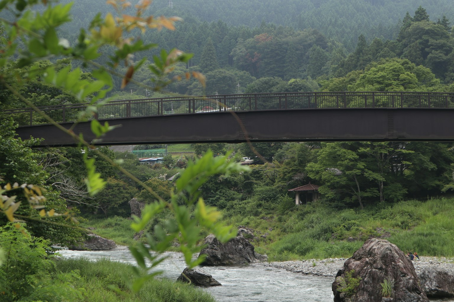 Landscape of a black bridge over a river surrounded by greenery