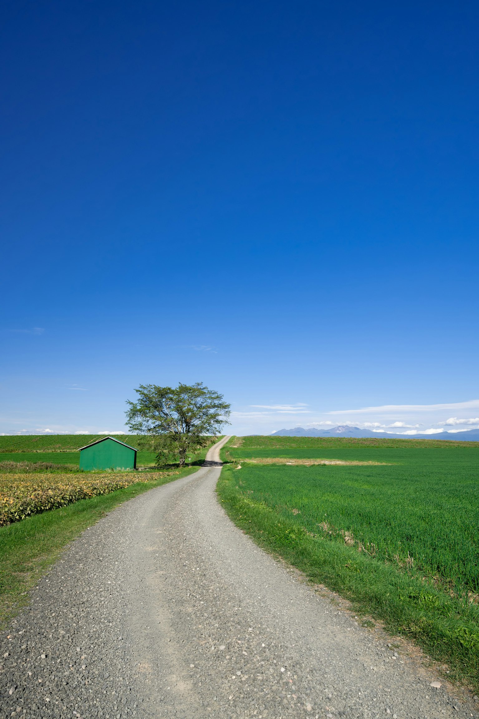 Green countryside with a dirt road under a clear blue sky