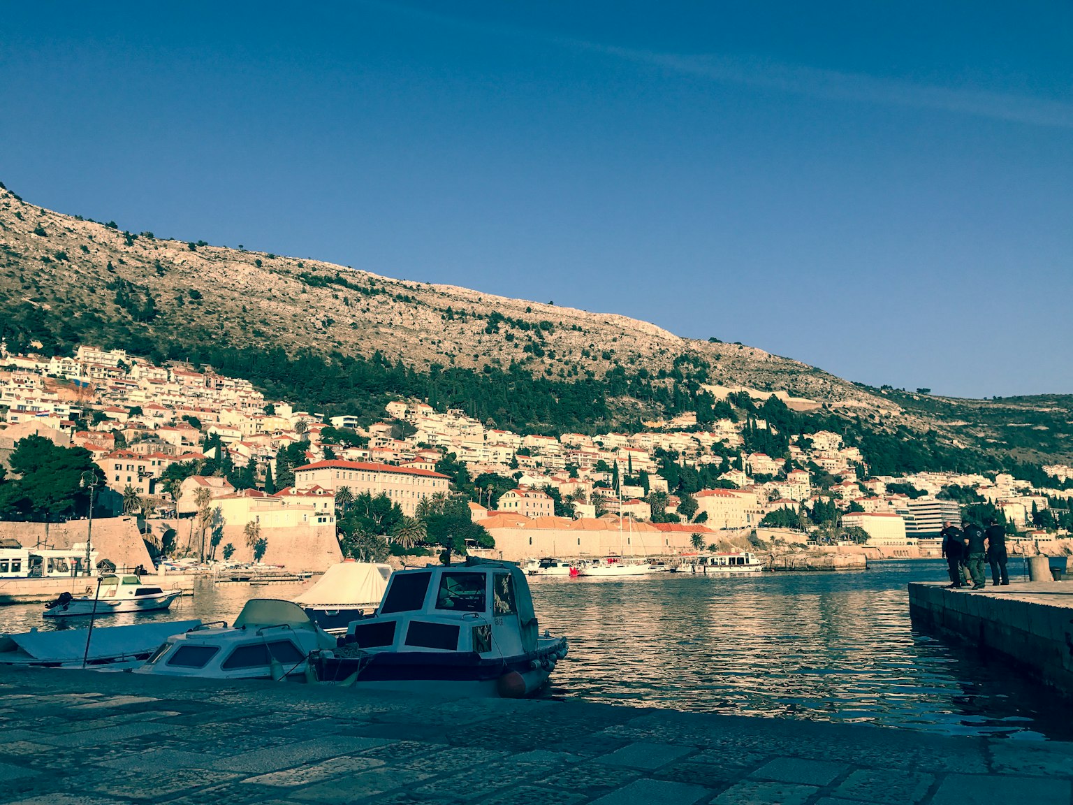 Vista panoramica di un porto con piccole barche e uno sfondo montuoso