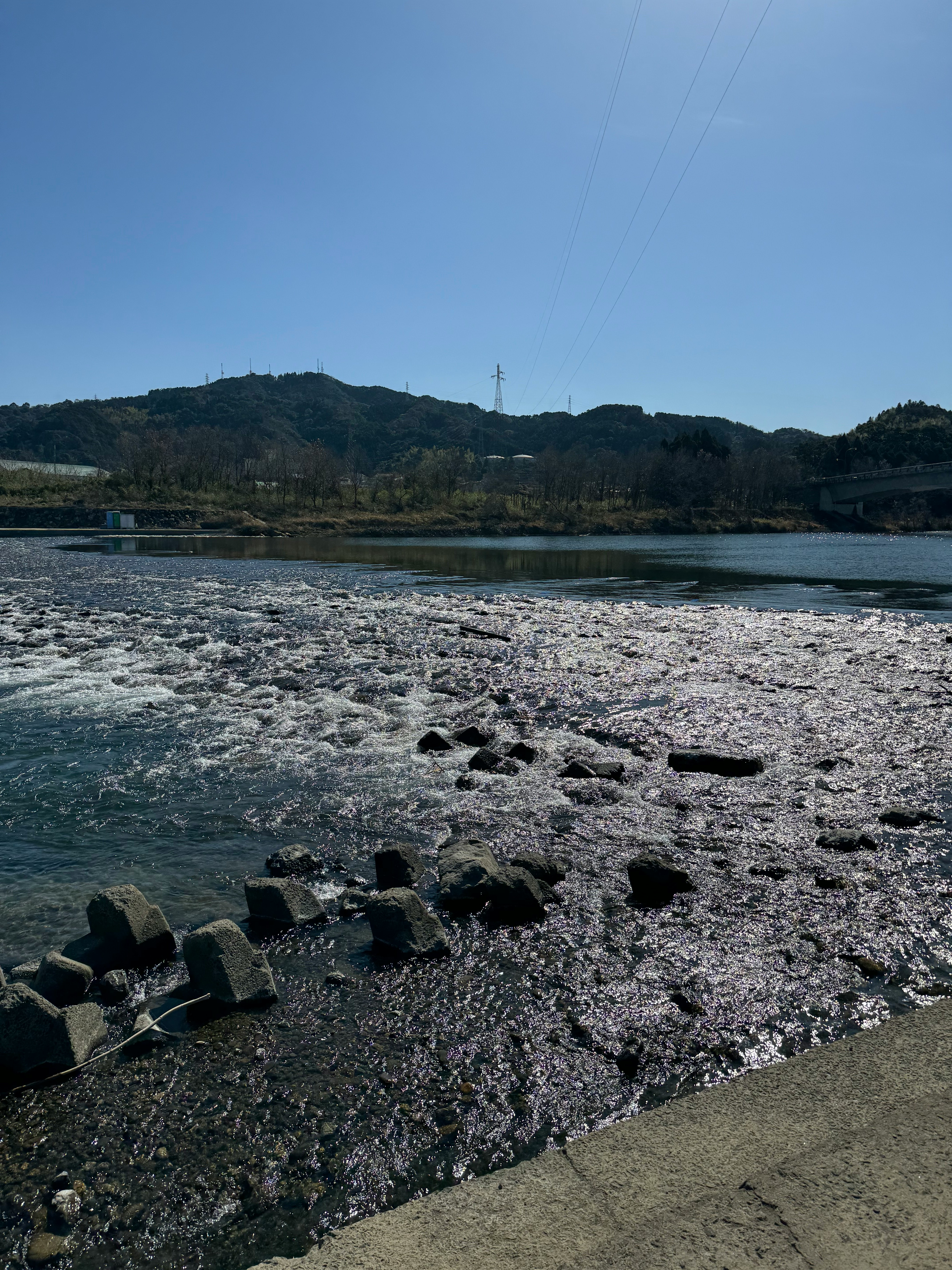川面に広がる水辺の岩場と春の陽光