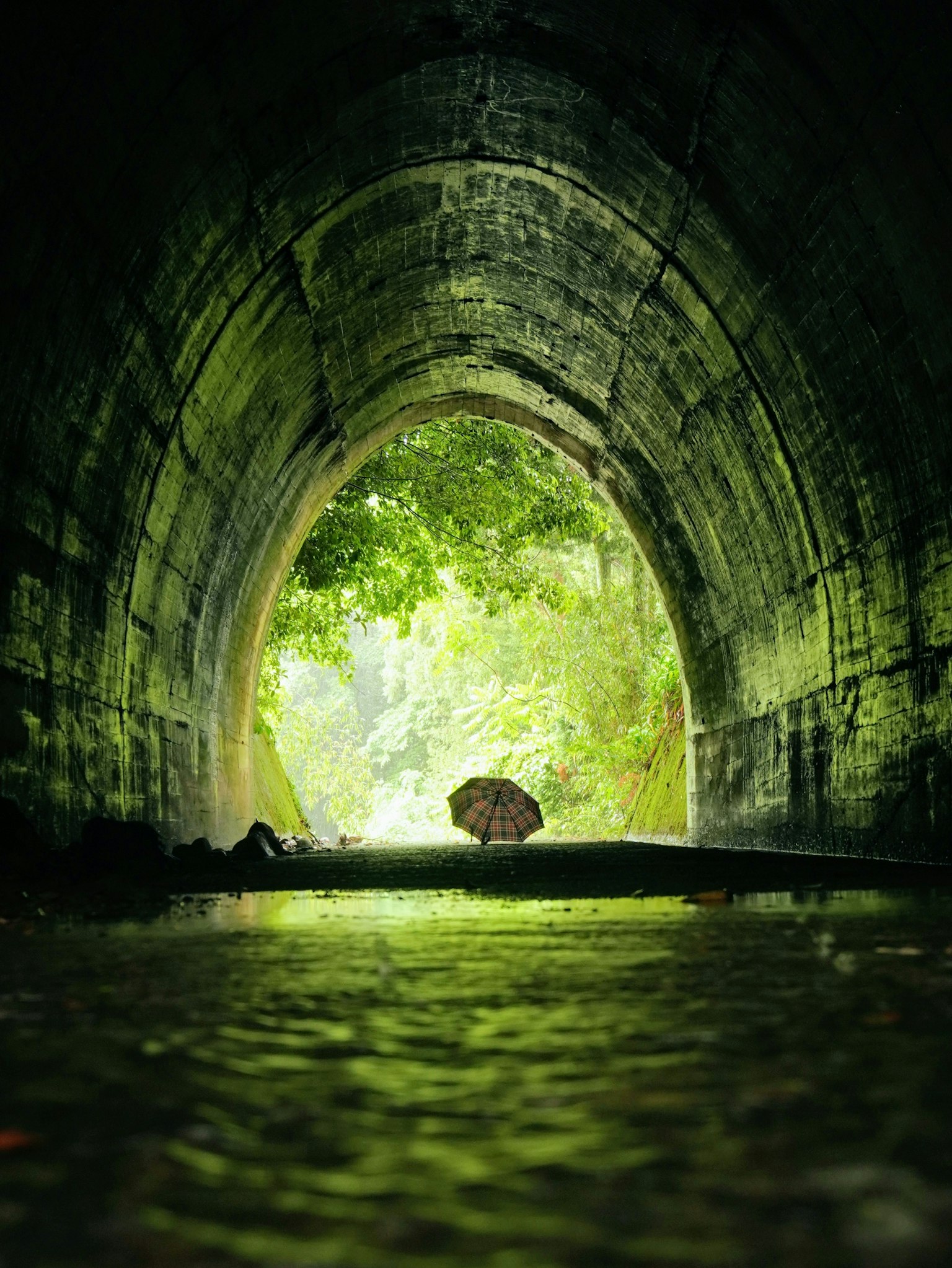 View of a tunnel surrounded by greenery with a person holding an umbrella
