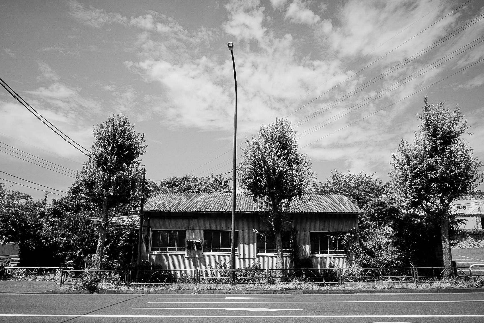 Single-story buildings along a roadside with street trees