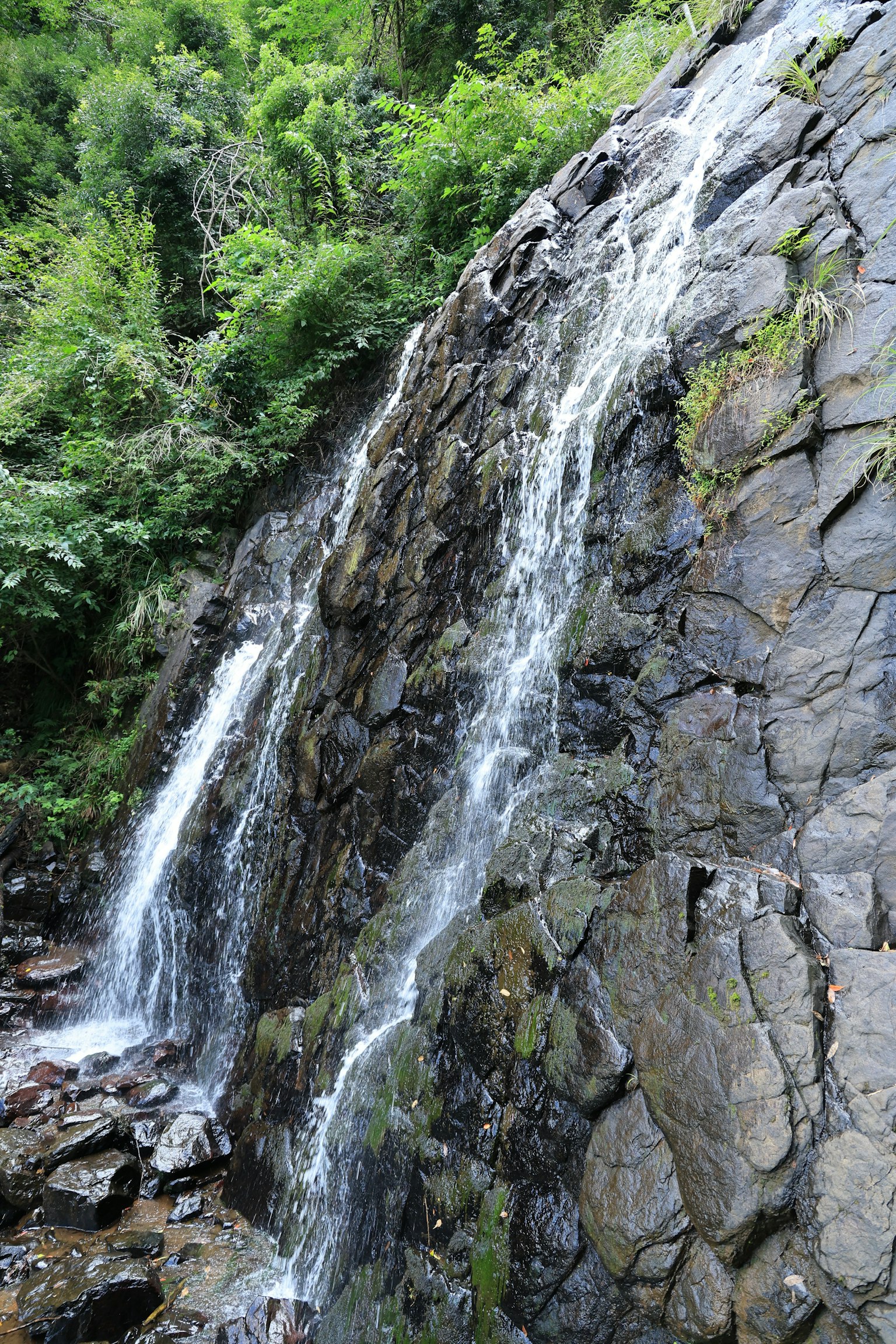 Sebuah air terjun yang mengalir dari tebing berbatu dikelilingi oleh vegetasi hijau yang lebat