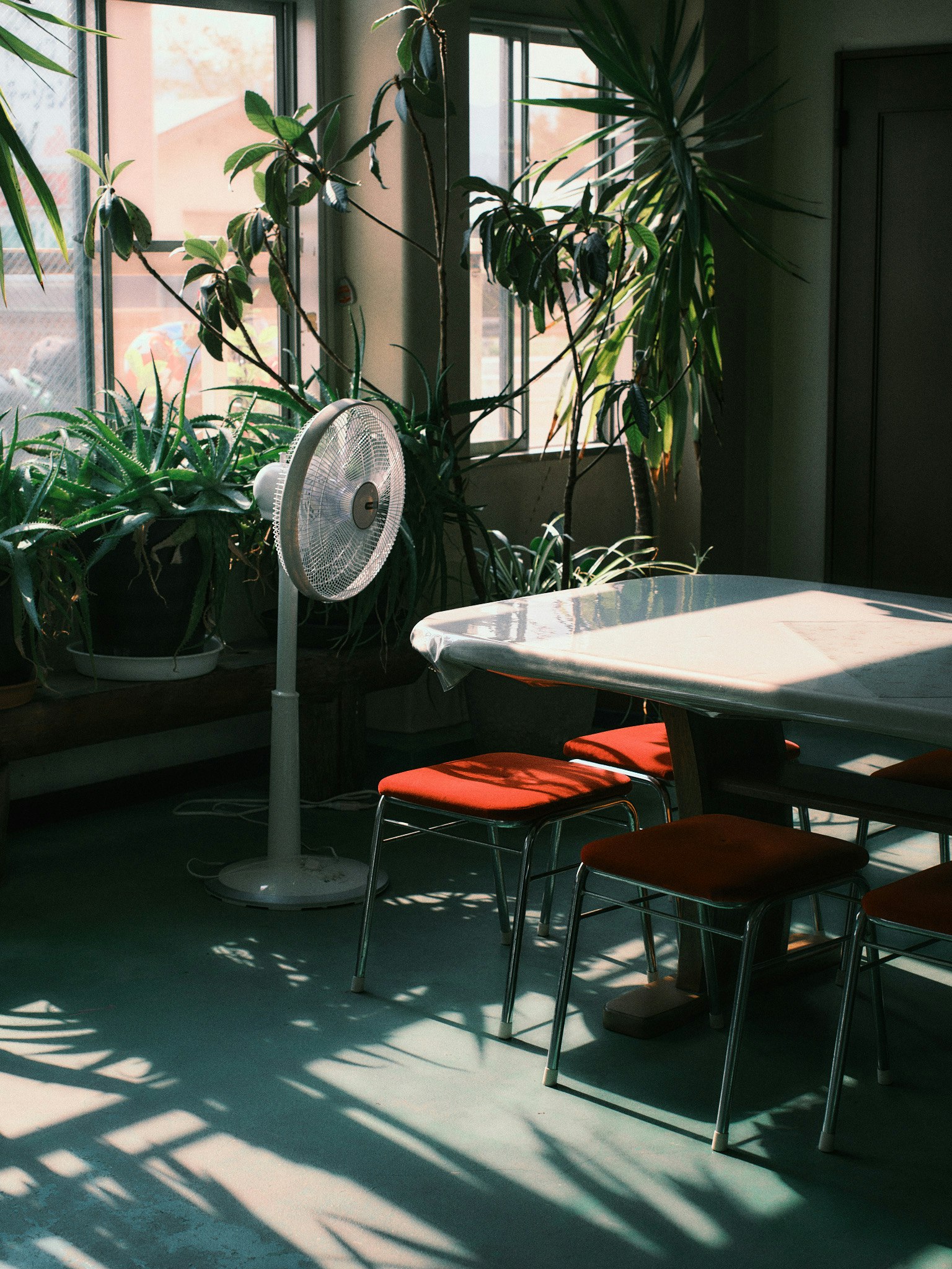 Bright room with plants featuring a table and chairs
