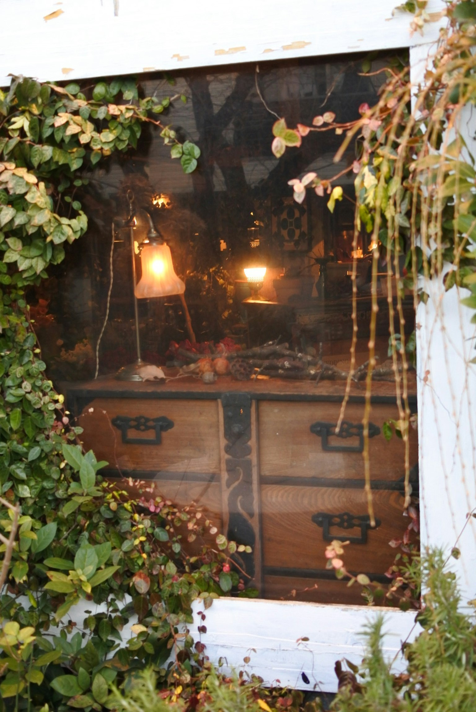 Tiroirs en bois et lampes douces visibles à travers une fenêtre entourée de verdure