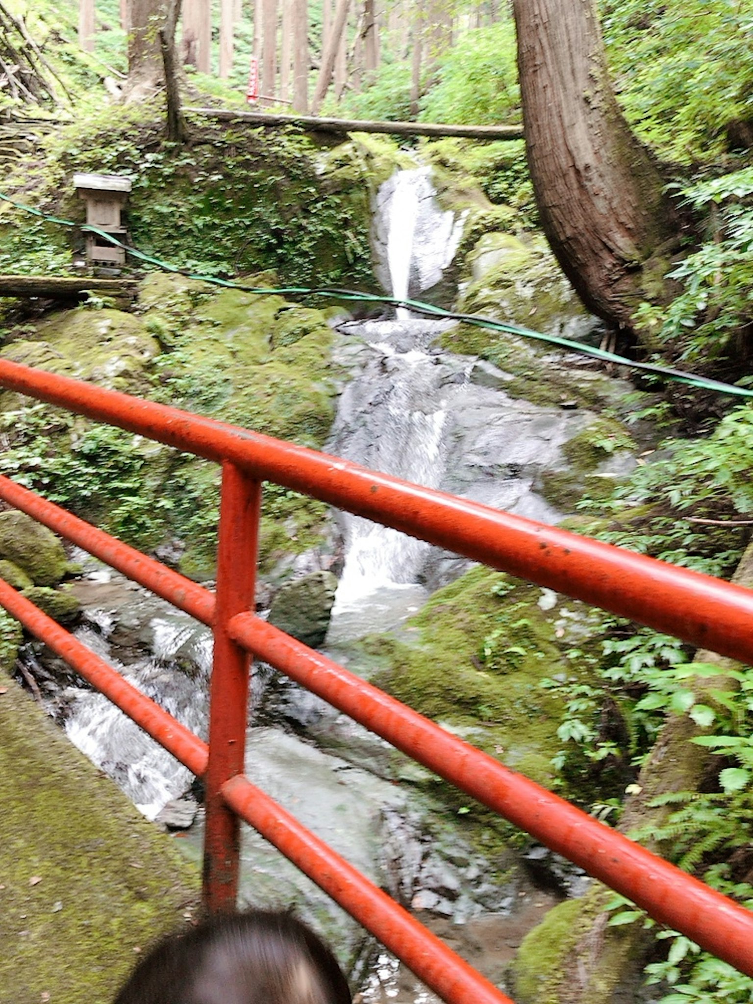 Pequeña cascada en un bosque verde con una barandilla roja