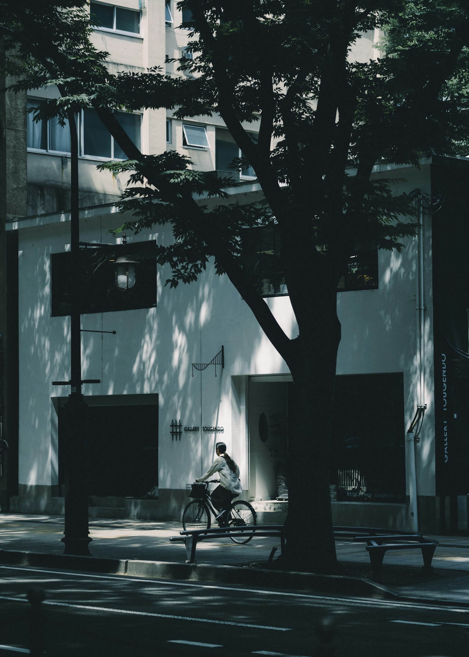 A cyclist riding past a white building with shadows from trees