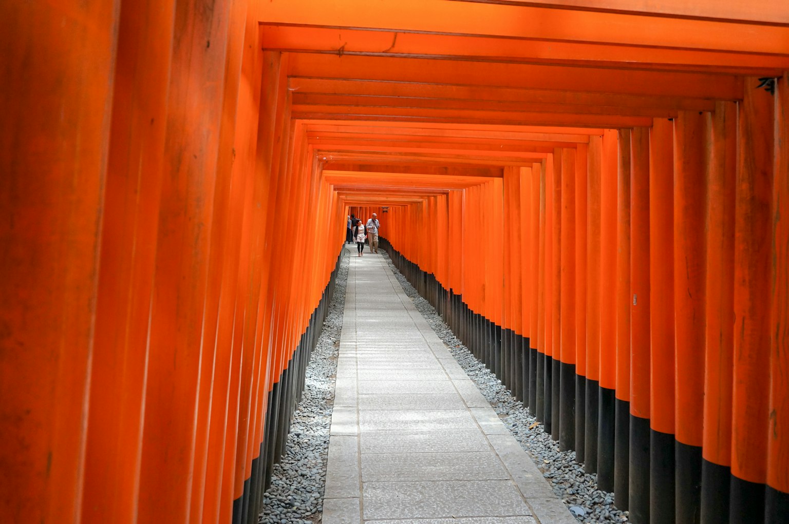 Pathway lined with vibrant orange torii gates