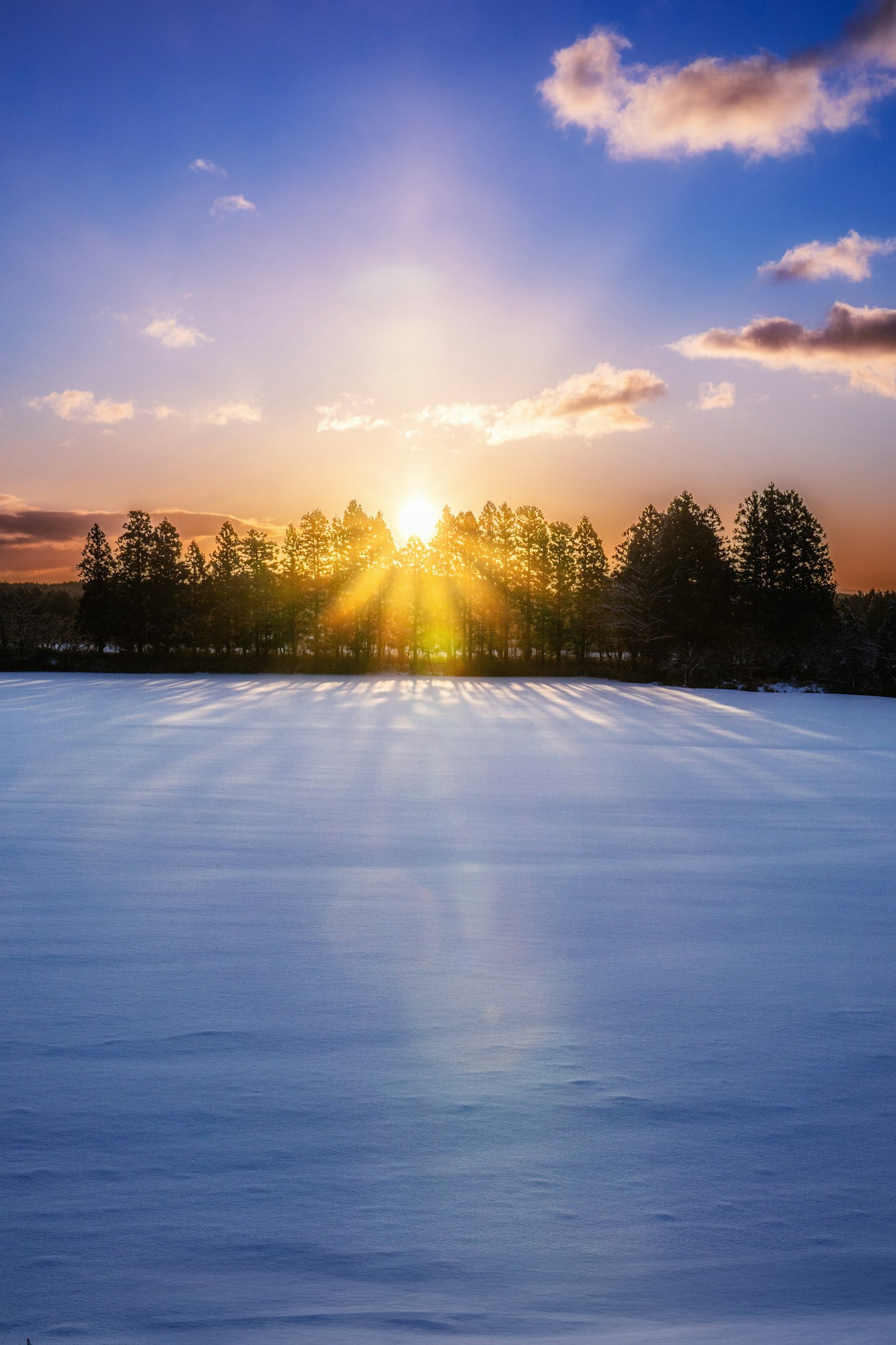 Paisaje nevado con un hermoso amanecer brillando