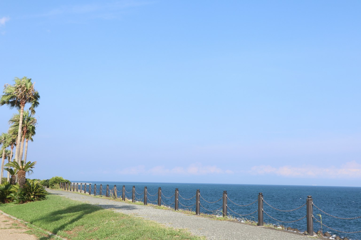 Green grassland with a fence along the blue sea and sky