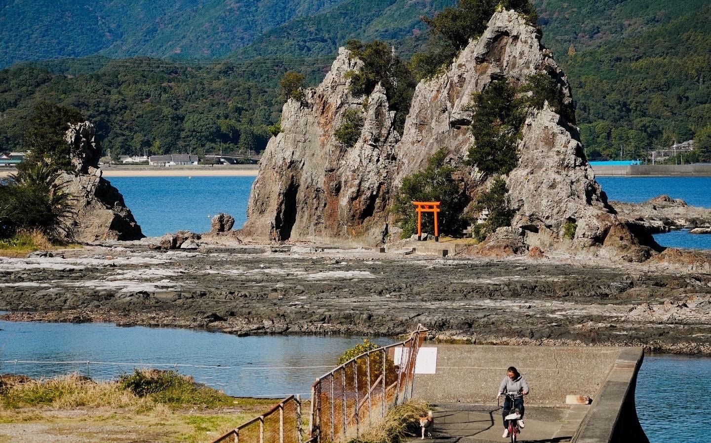海辺の岩場と赤い鳥居、遊歩道のある景色