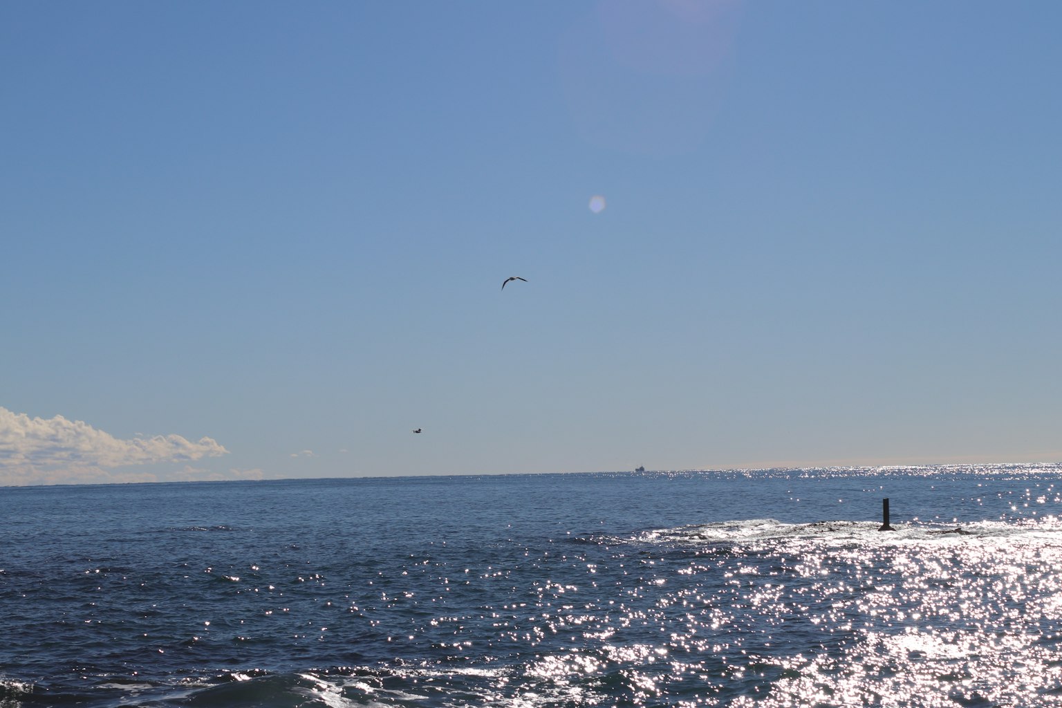 Oceano blu espansivo e cielo onde scintillanti con isola lontana e uccelli
