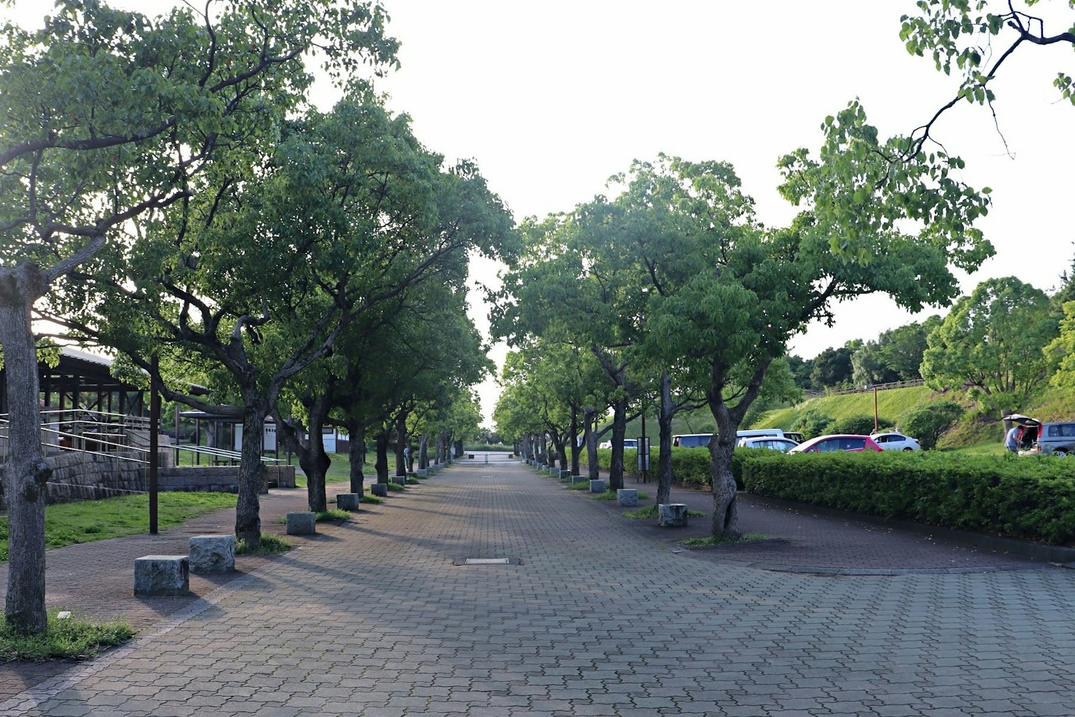 Malerei Weg gesäumt von grünen Bäumen und einer friedlichen Atmosphäre