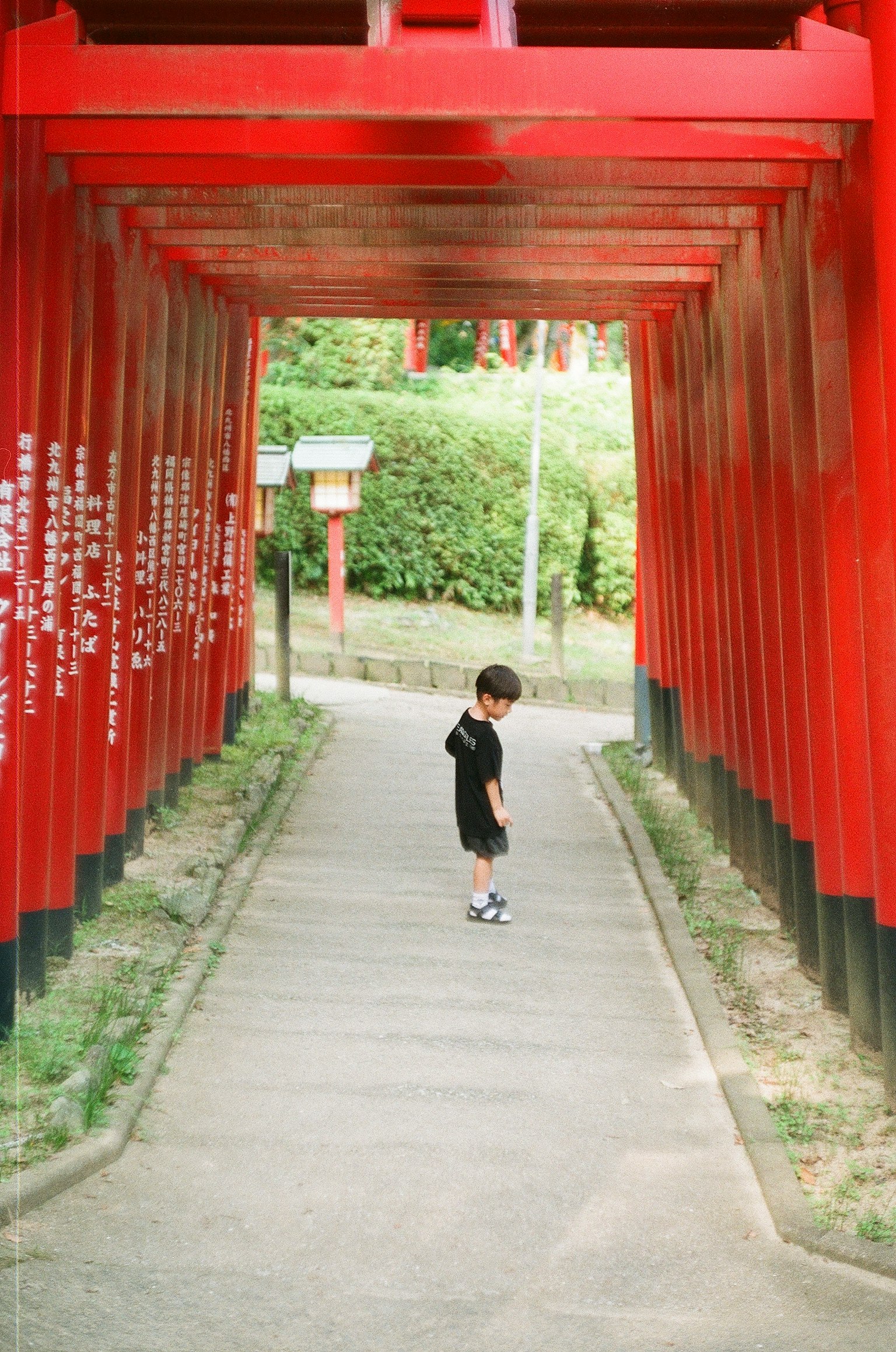 붉은 토리이 게이트 터널을 걷는 아이