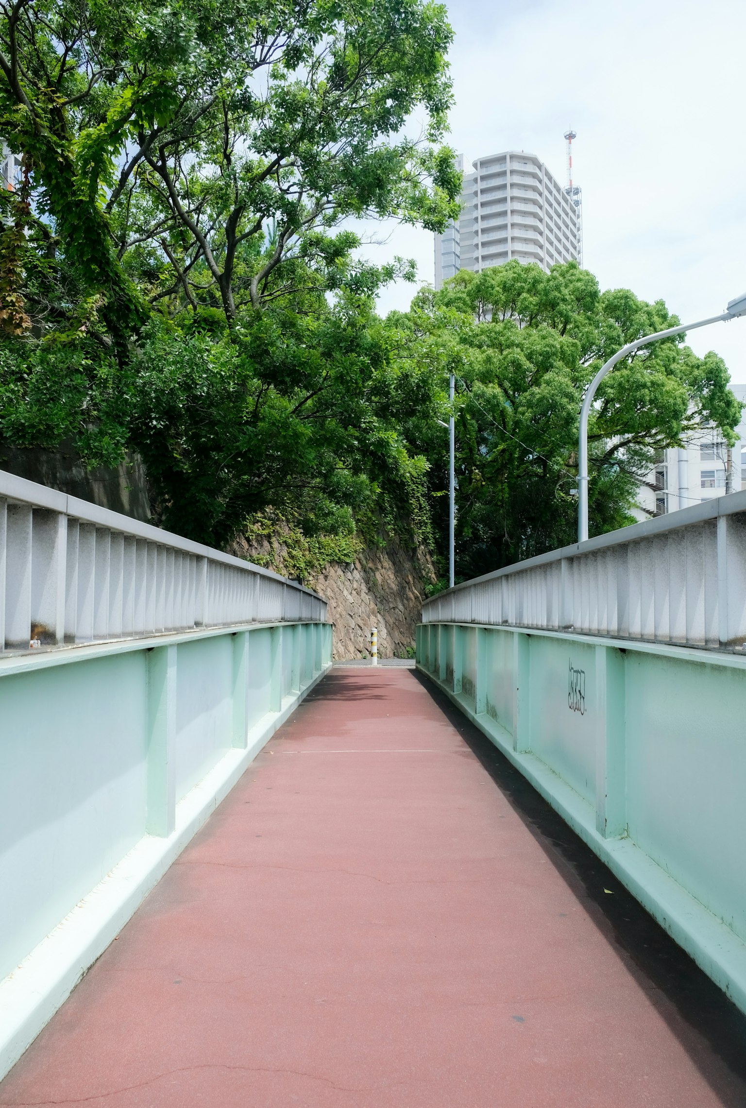 Passerelle d'un pont entourée de verdure luxuriante
