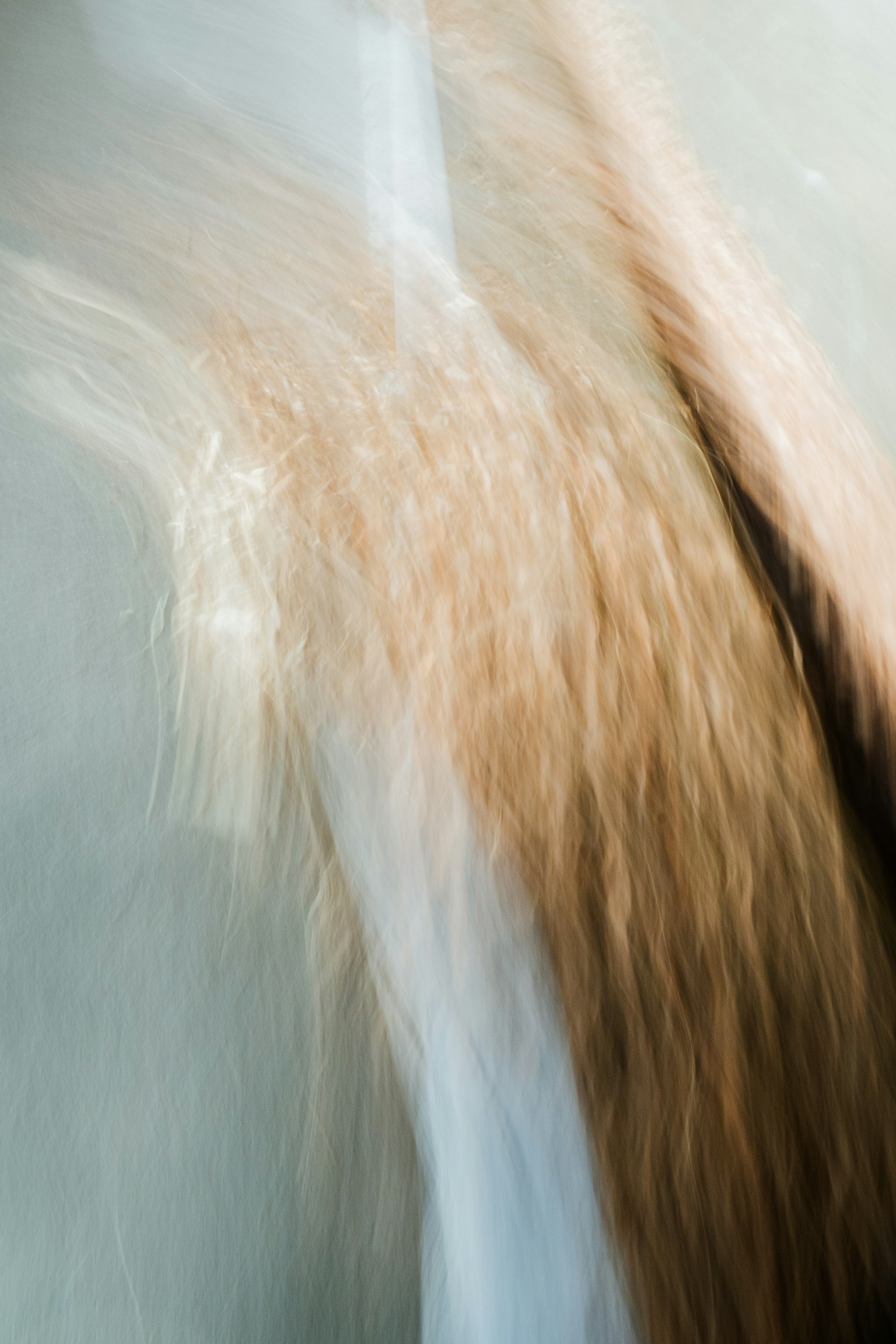 Image abstraite avec des textures fluides dans des couleurs douces