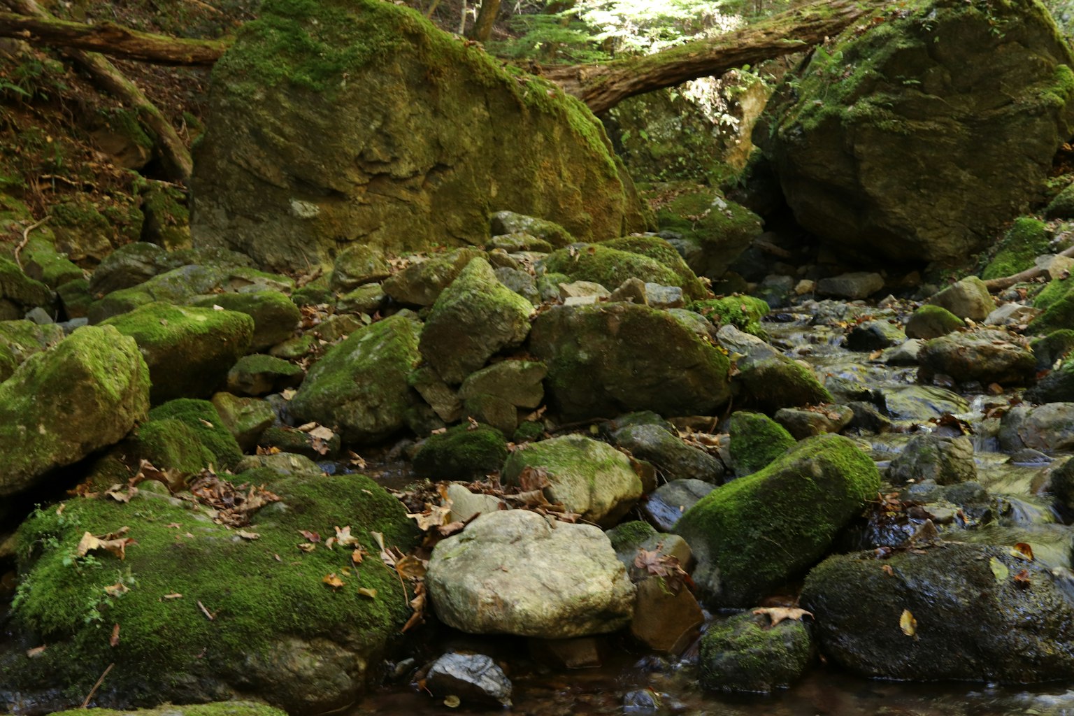小溪流淌與苔蘚覆蓋的岩石和巨石的自然場景