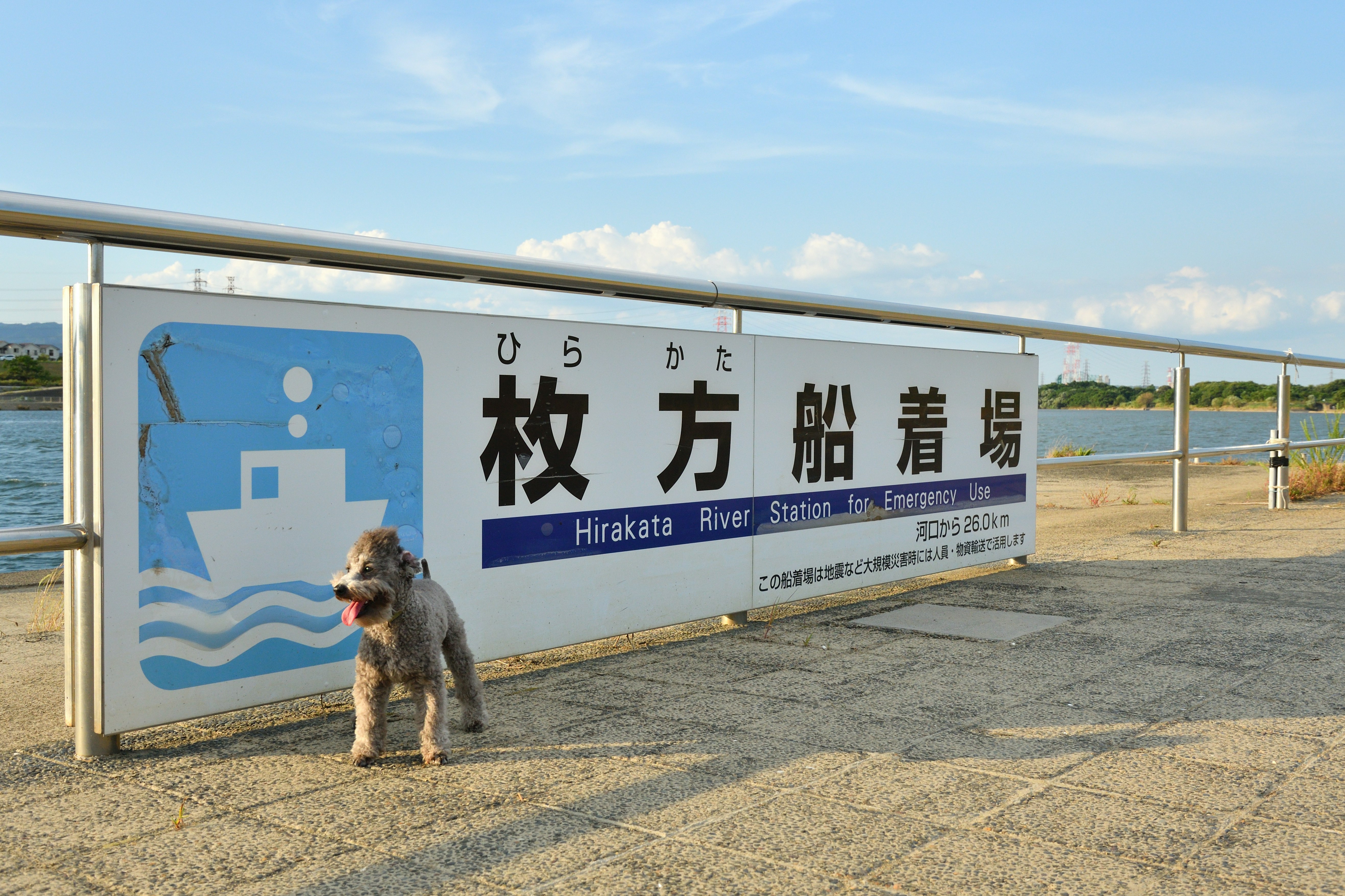 Dog in front of the Hirakara River Station boat dock sign