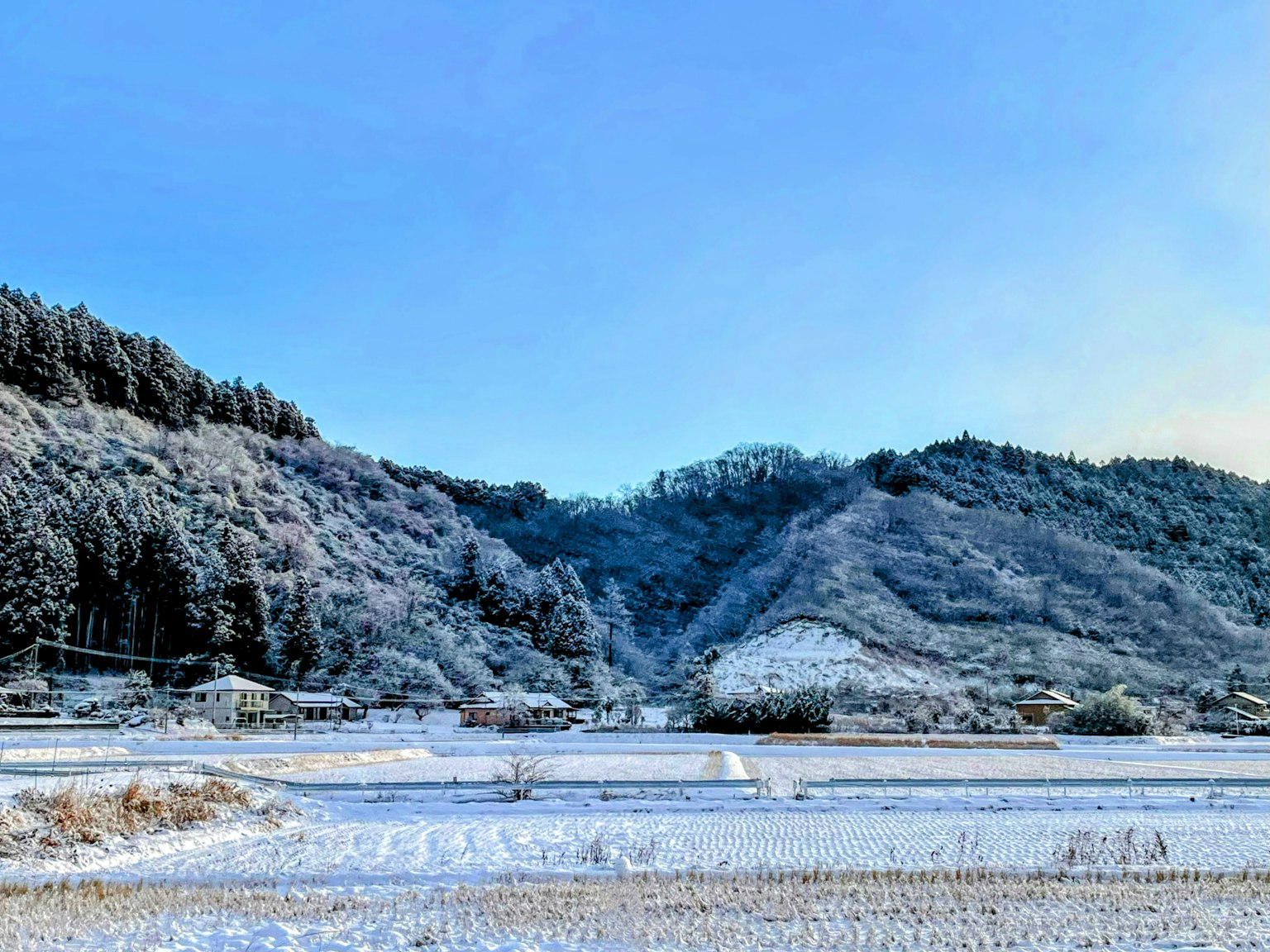Snow-covered rural landscape with rolling hills and clear blue sky
