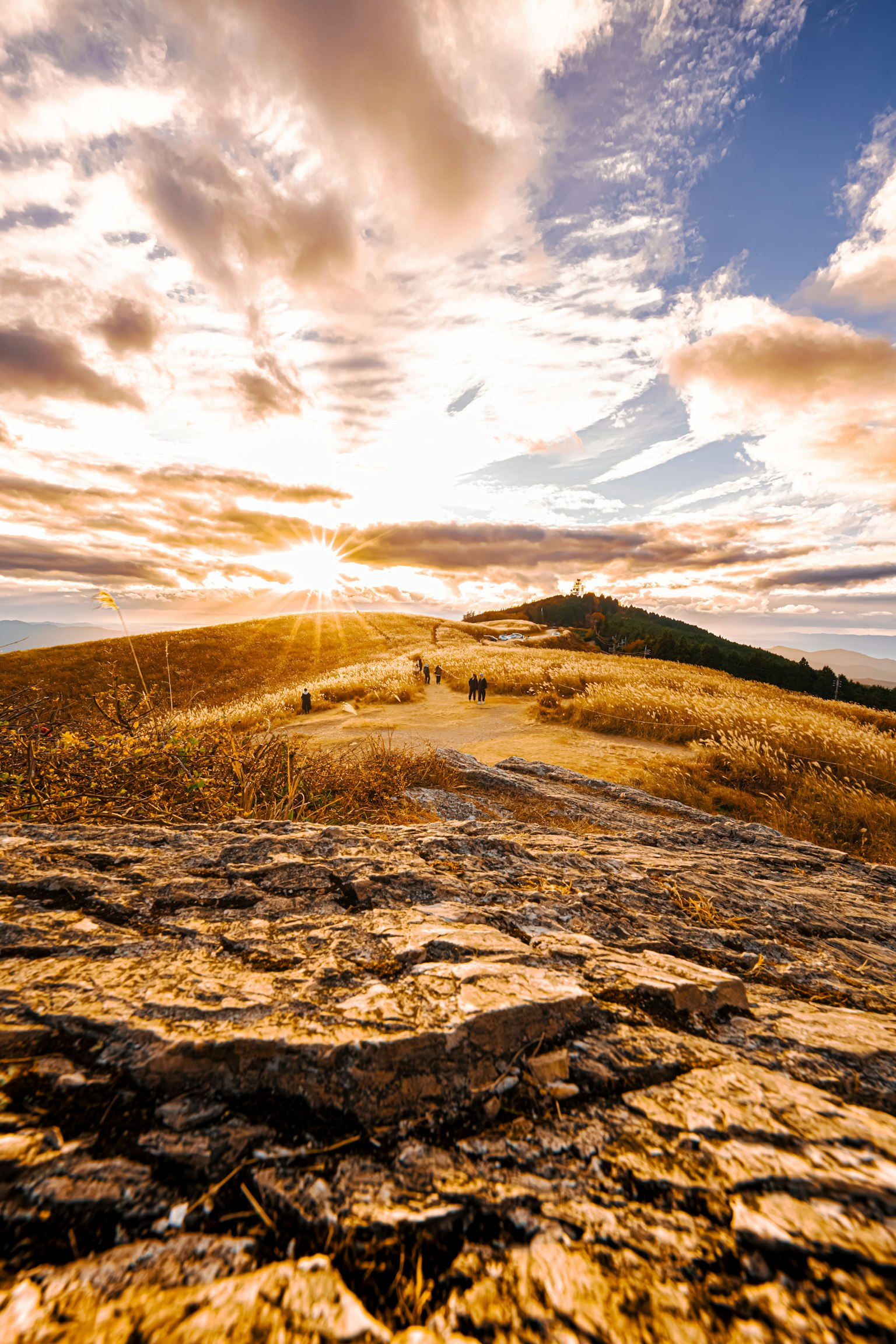 Paisaje de una colina con una puesta de sol brillante y un campo de hierba