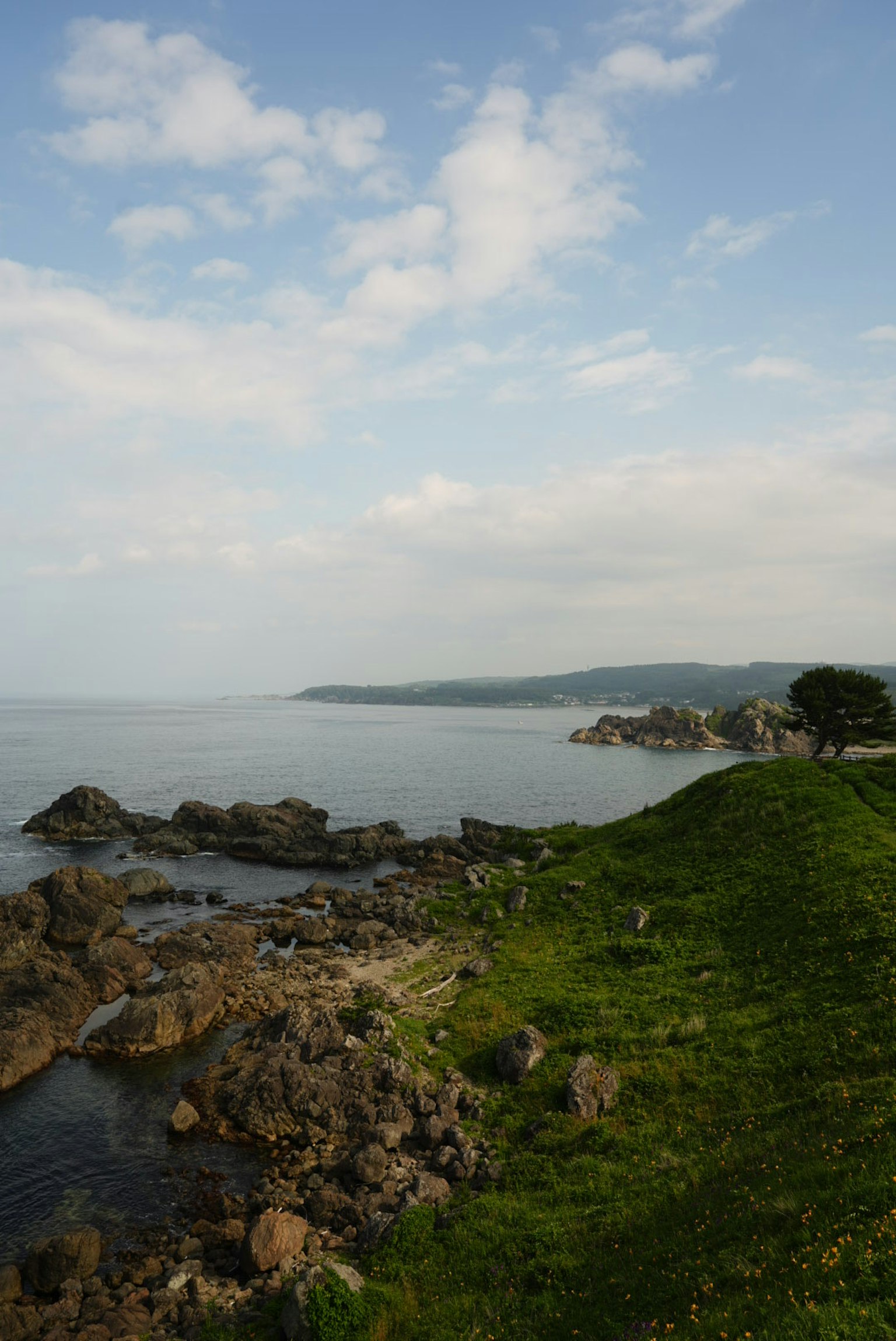 海岸線と岩が見える風景 緑の草地と穏やかな海