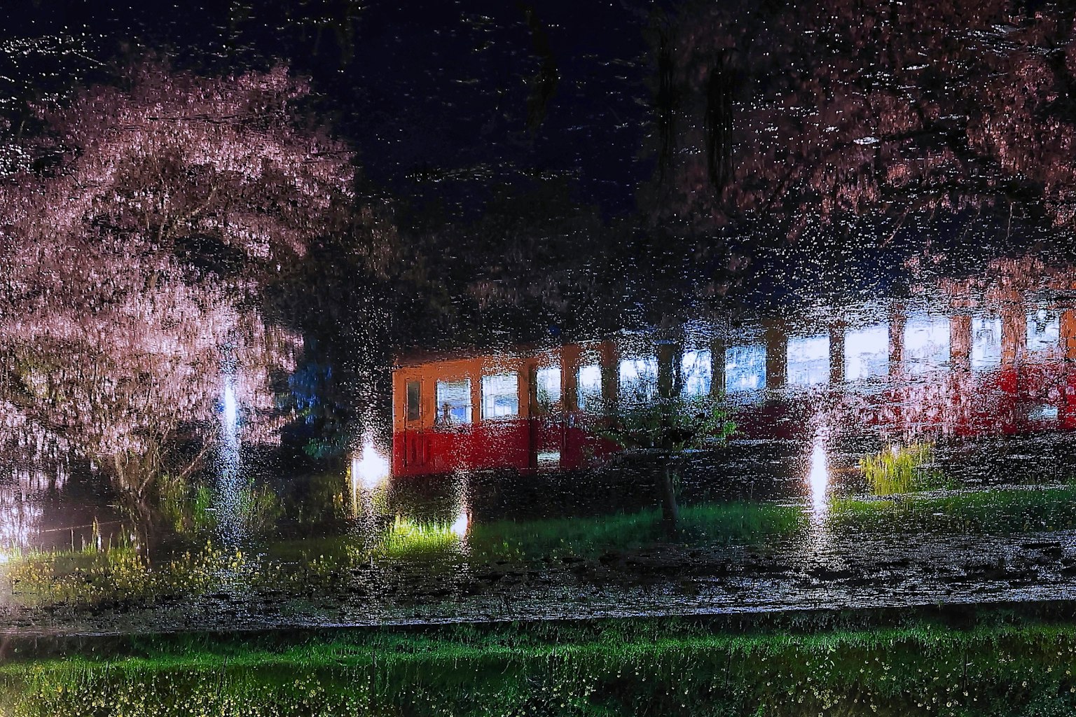 photo-pALhB2lpJ9dtN2vTfbr9-image