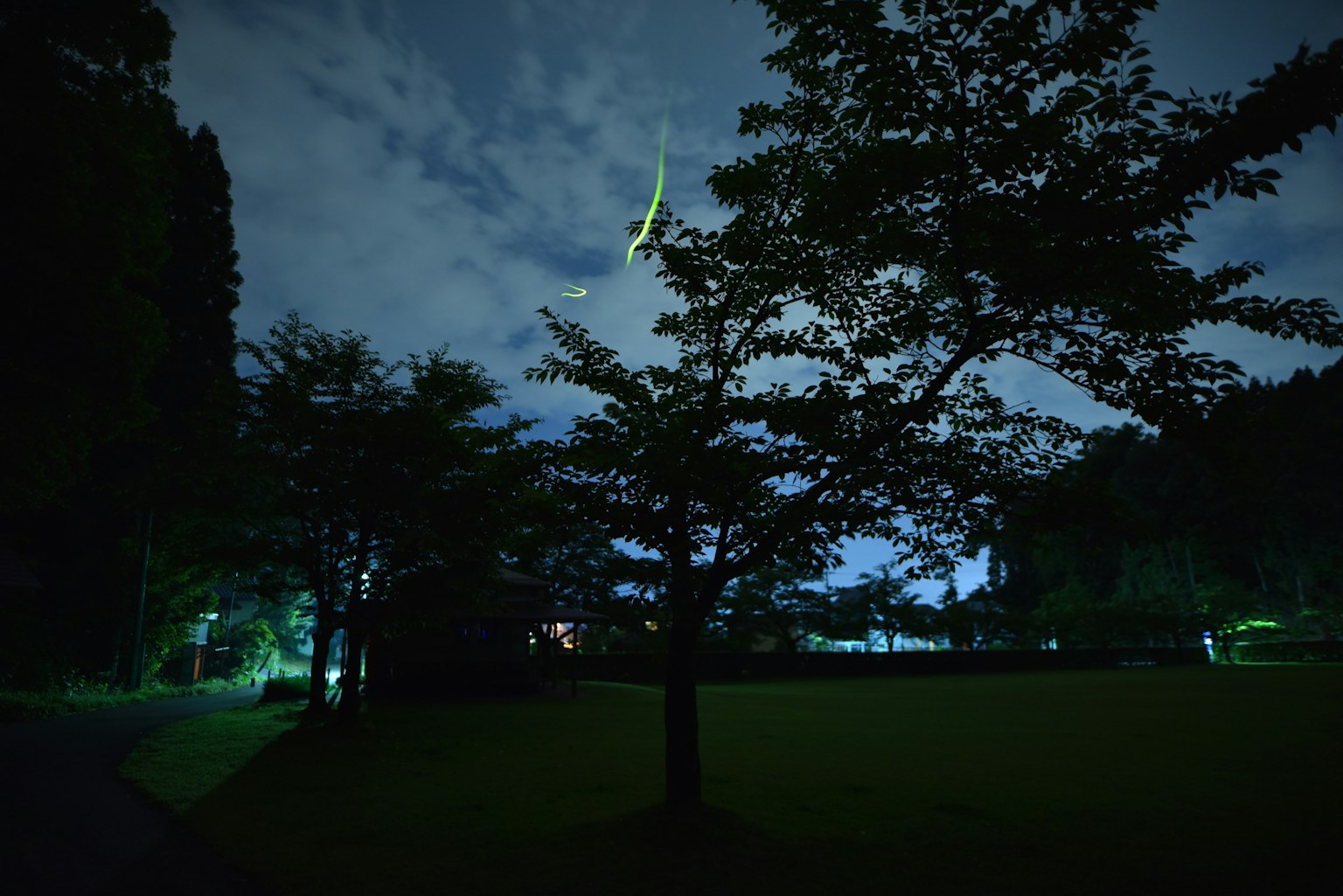 Night scene of a park with clouds and scattered green lights