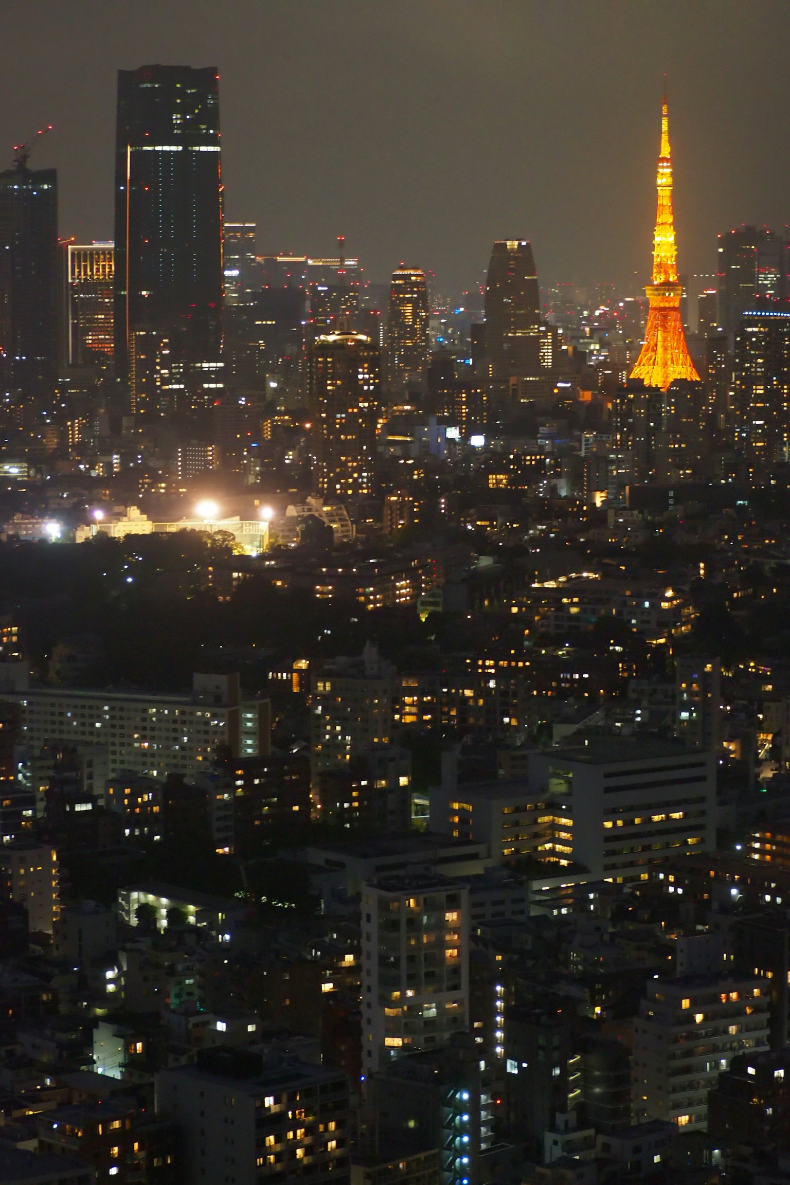 Cảnh thành phố vào ban đêm với Tháp Tokyo sáng và các tòa nhà chọc trời