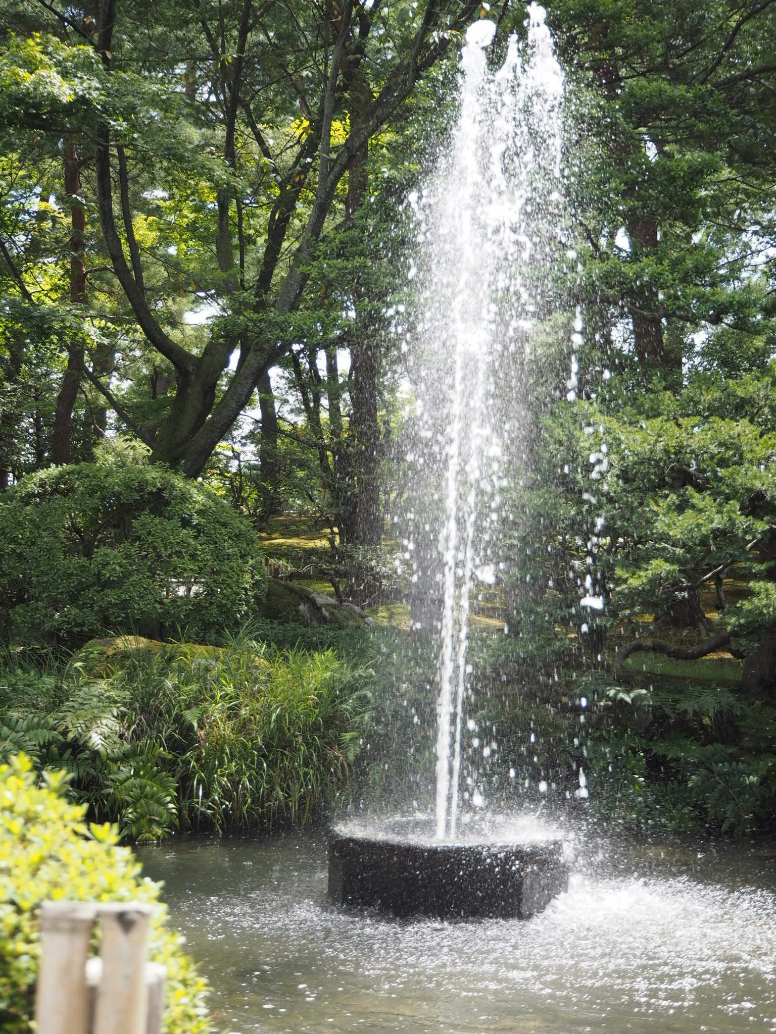 Một đài phun nước phun nước trong công viên xanh tươi