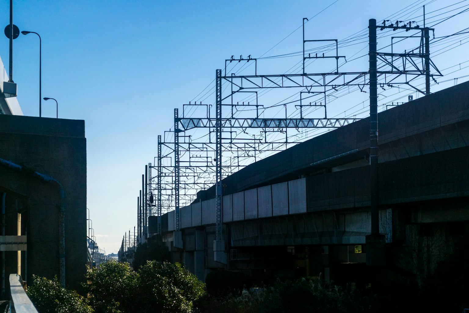 photo-pCjQeQGOWHFECXYH7vgX-image