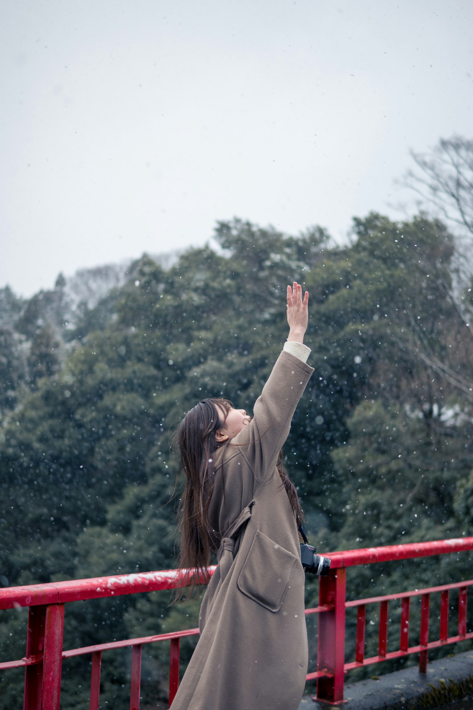 一名女性在雪中伸出手，背景是绿色的树木和红色的栏杆