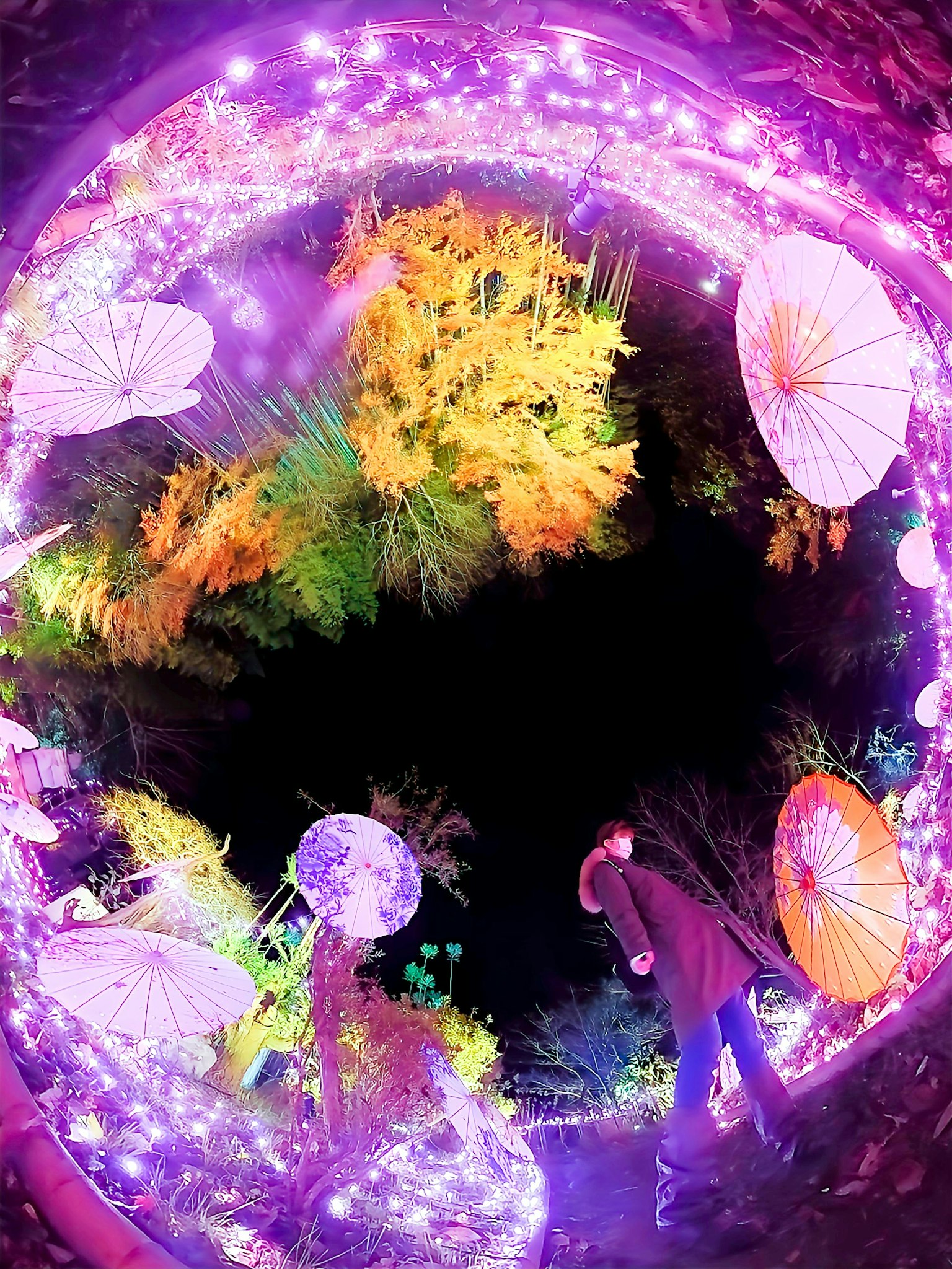 Una scena fantastica con ombrelli colorati e piante vivaci