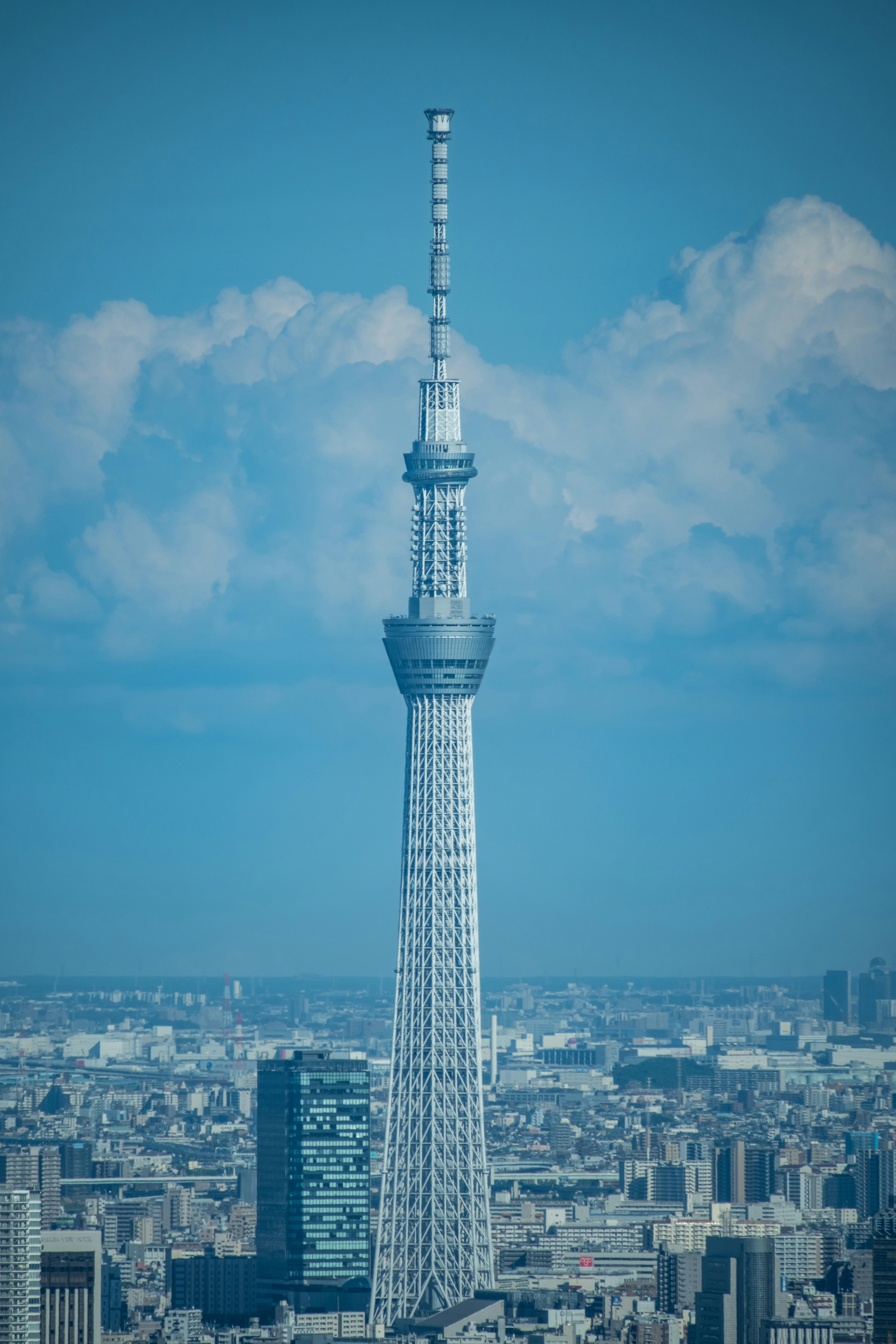 青空の下にそびえる東京スカイツリーと街並み