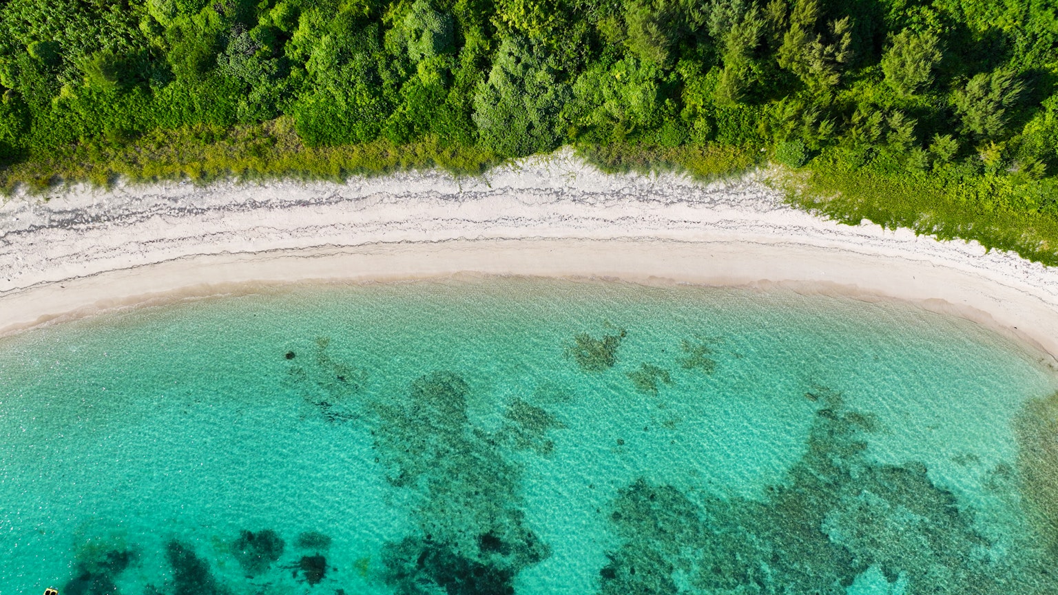 Vista aérea de una playa prístina con agua turquesa y vegetación exuberante