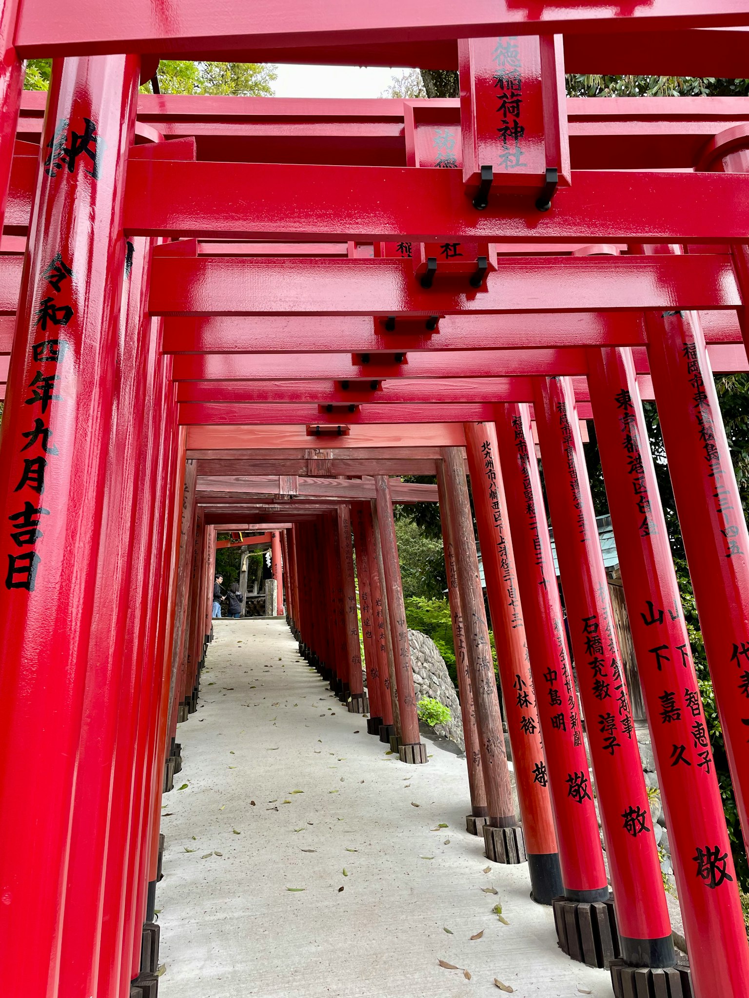 一条被红色鸟居围绕的小路形成隧道效果
