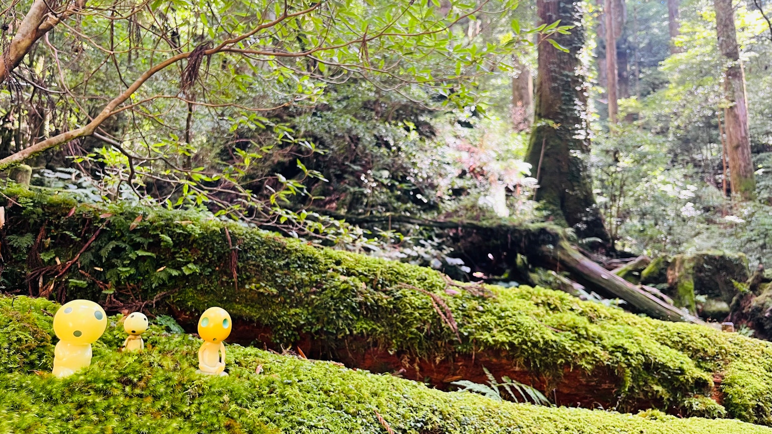 Personaggi gialli disposti su un terreno muschioso in una foresta lussureggiante