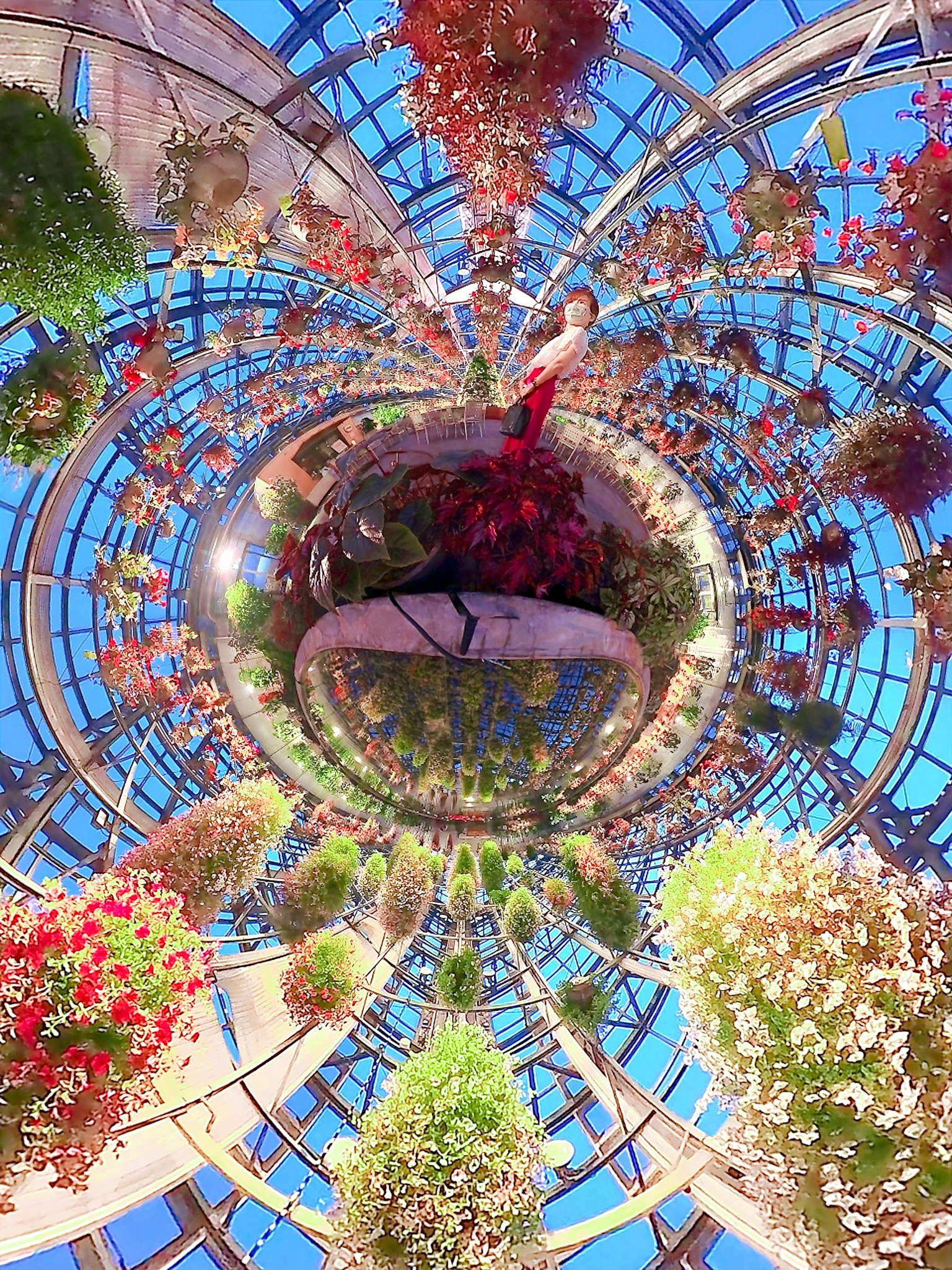 Pemandangan panorama 360 derajat dari rumah kaca kaca dengan bunga gantung