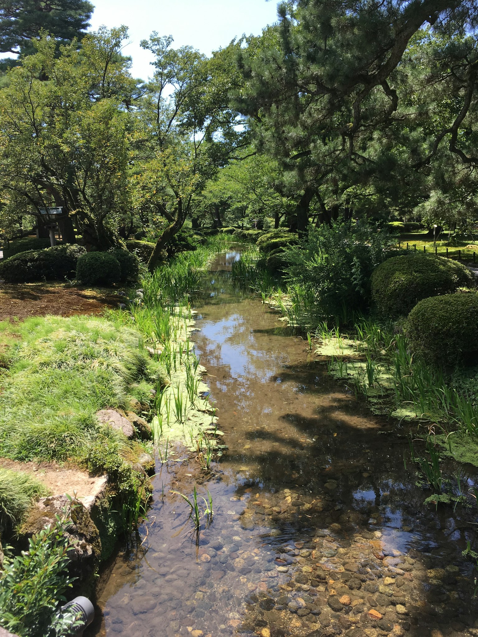 Malersicher Blick auf einen Bach in einem üppigen Park mit Baumreflexionen im Wasser