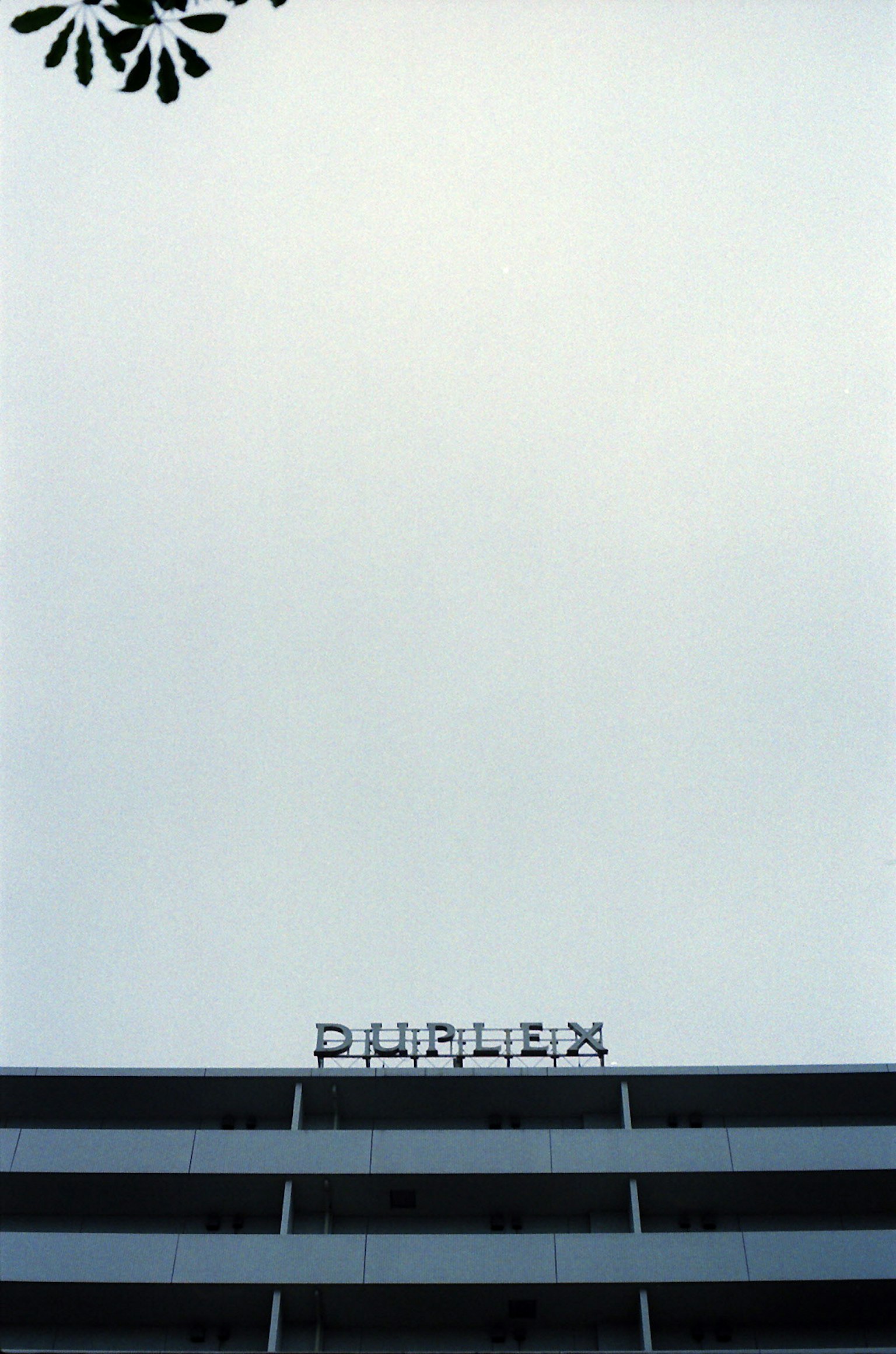 高层建筑上的"DUPLEX"招牌与晴朗的天空