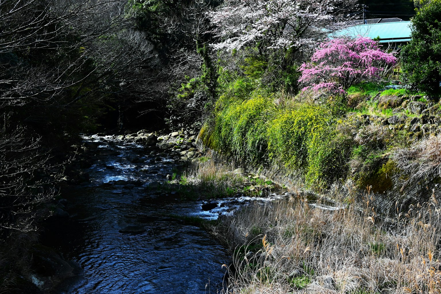 Bach gesäumt von Kirschblüten und bunten Blumen üppige Landschaft
