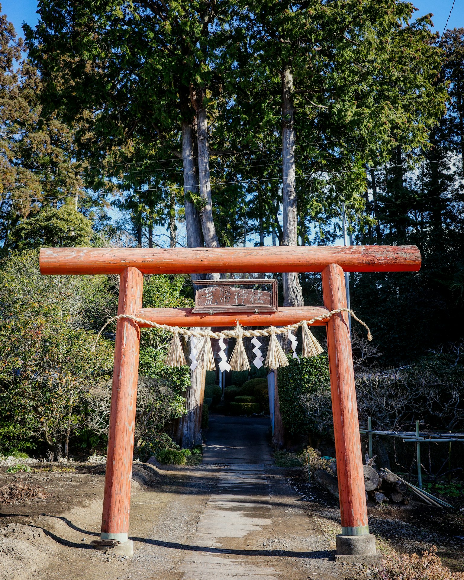 红色鸟居和绿色背景的宁静小道