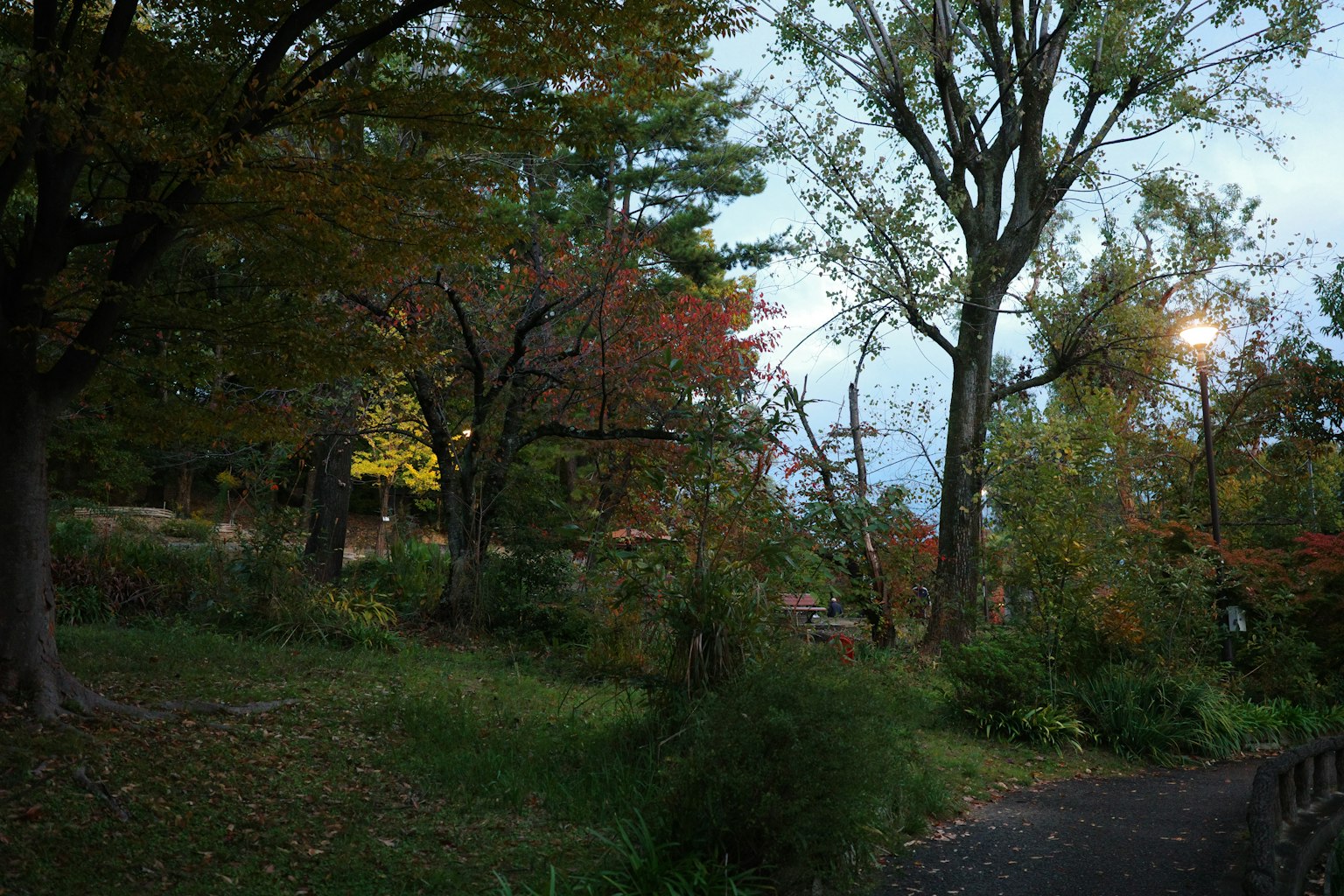 Una vista panoramica di un parco con alberi dai colori autunnali