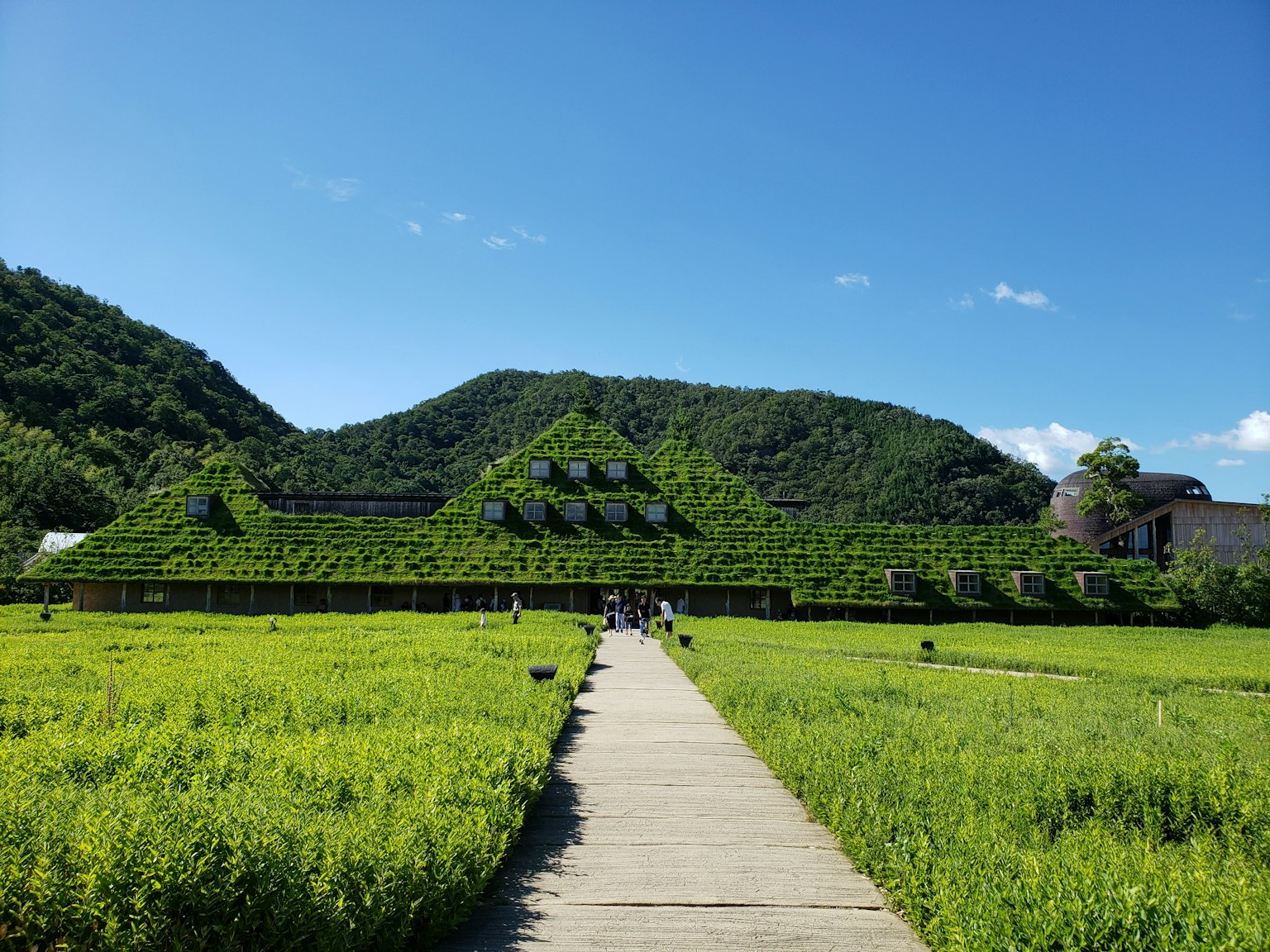 Paysage avec un bâtiment aux toits verts et un ciel bleu