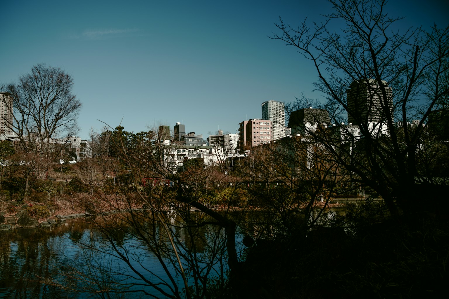 Ruhiger Teich mit kahlen Bäumen vor einer städtischen Skyline