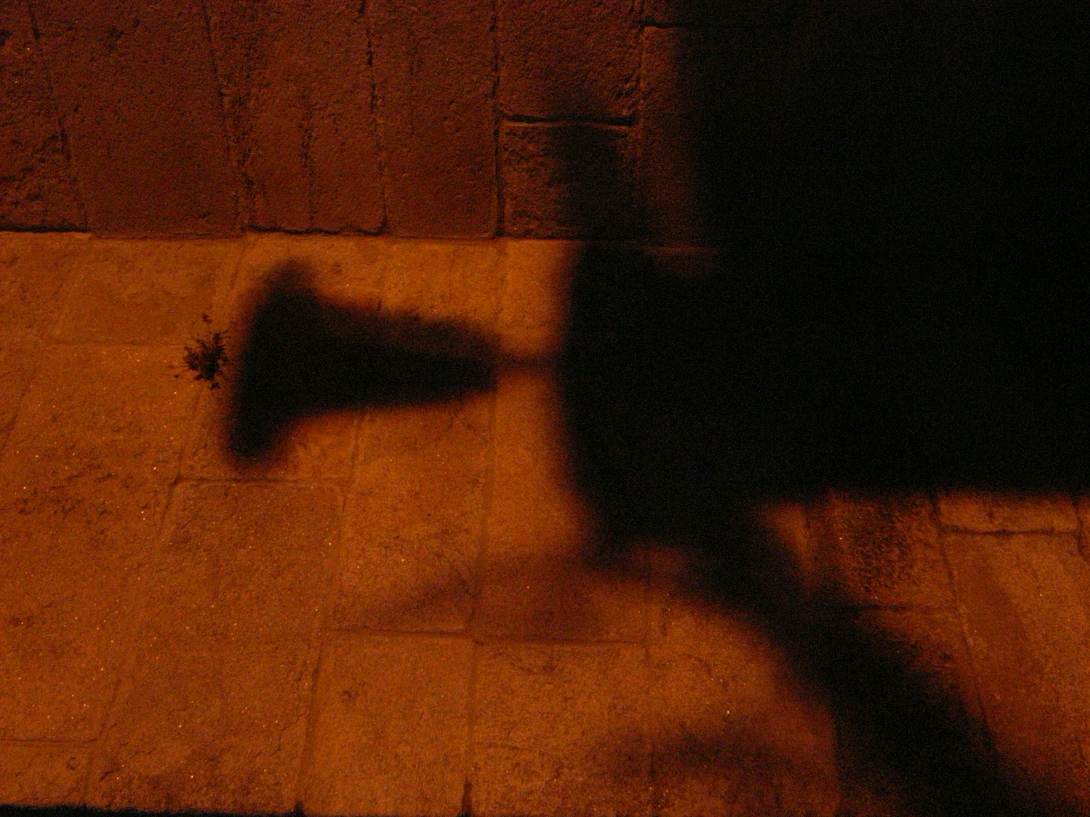 Ombre d'un objet projetée sur un mur texturé dans une lumière tamisée