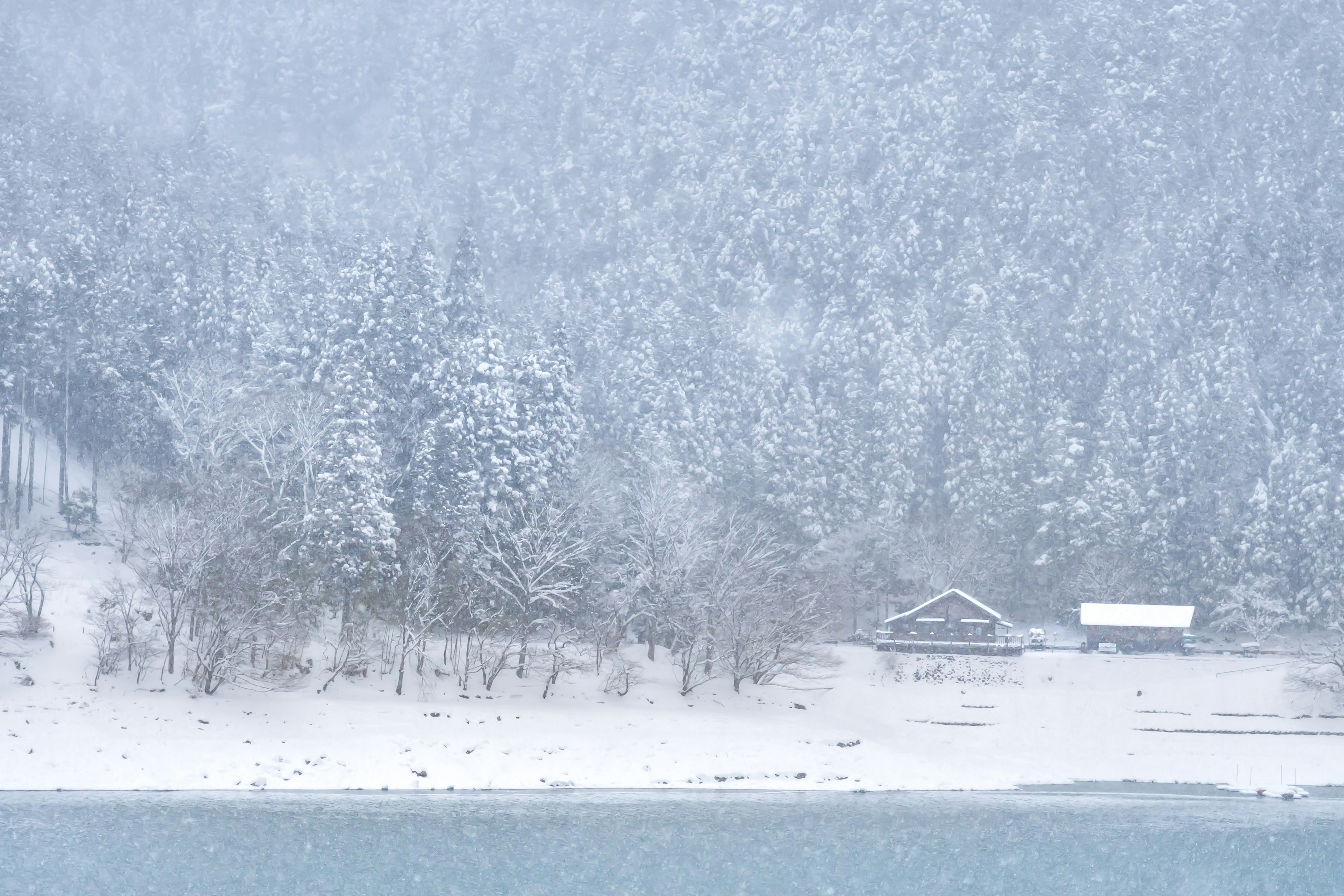 un paysage hivernal paisible dans une forêt sous la neige