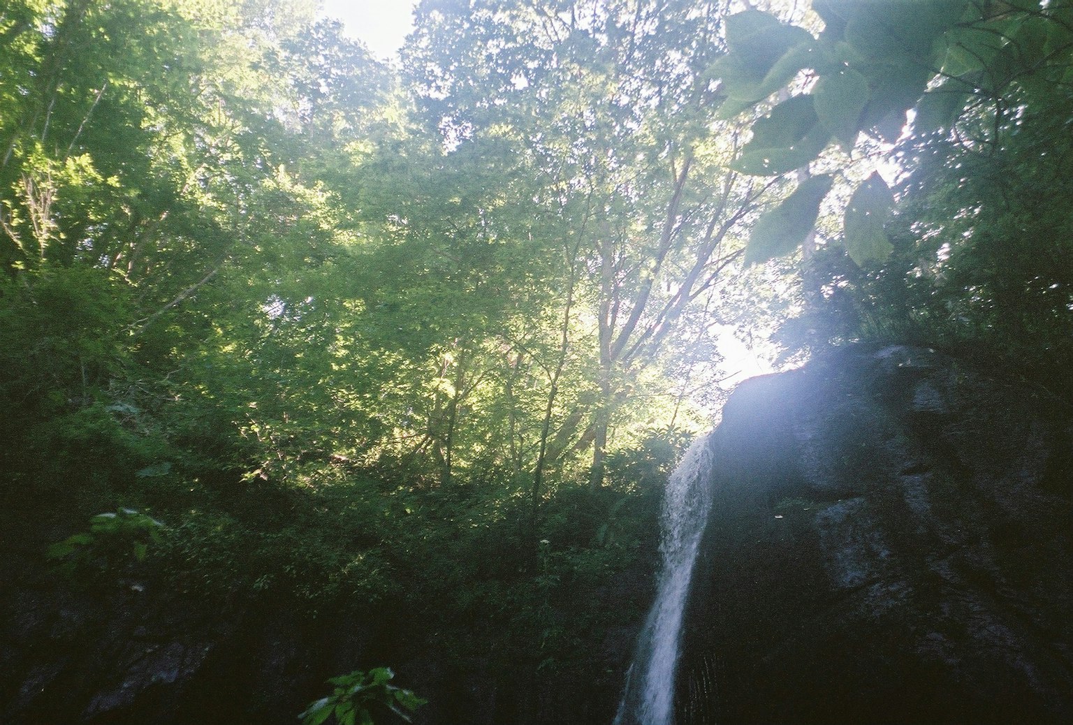 Pemandangan indah air terjun yang mengalir di antara pohon-pohon hijau lebat