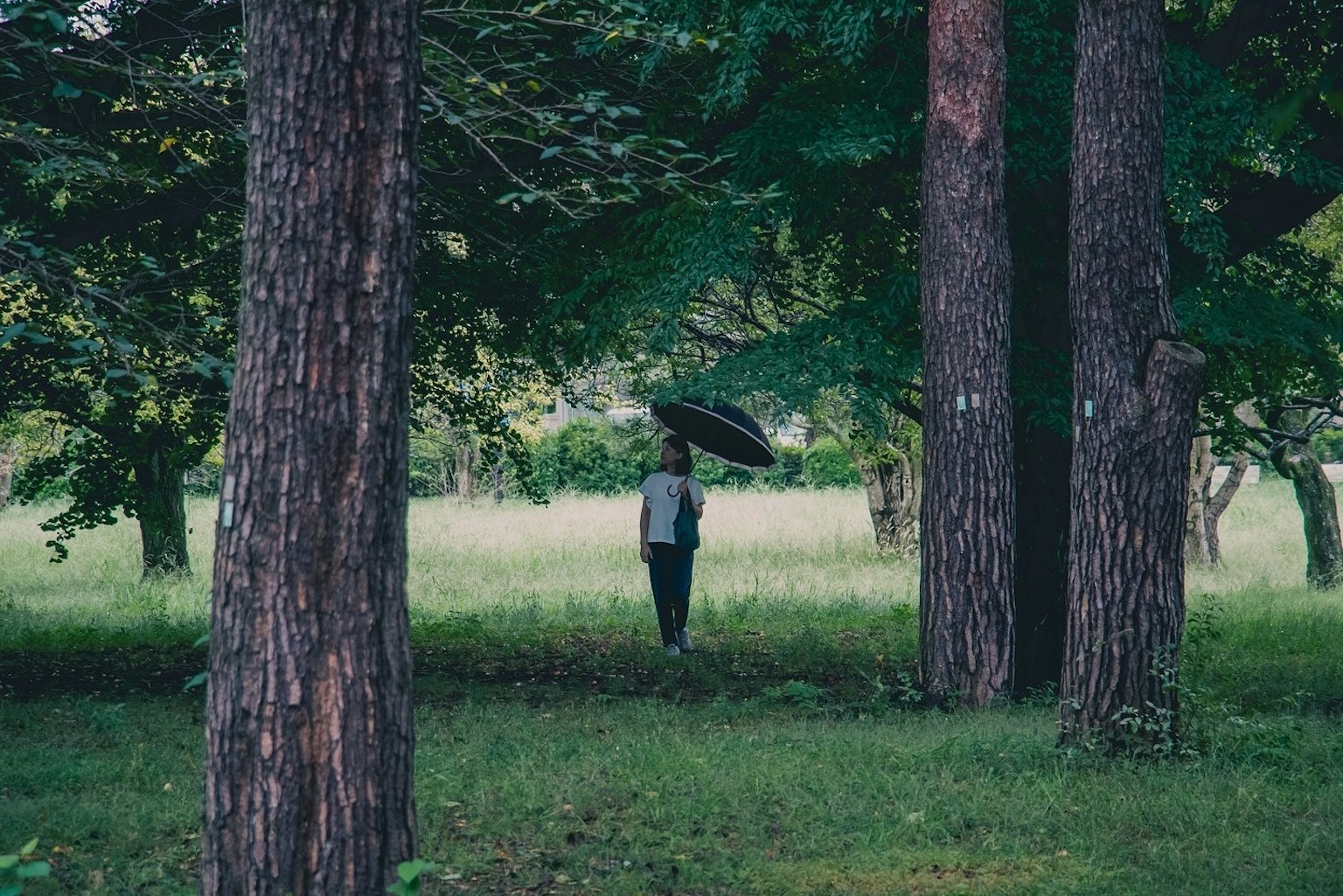 Person mit einem Regenschirm steht in einem grünen Wald